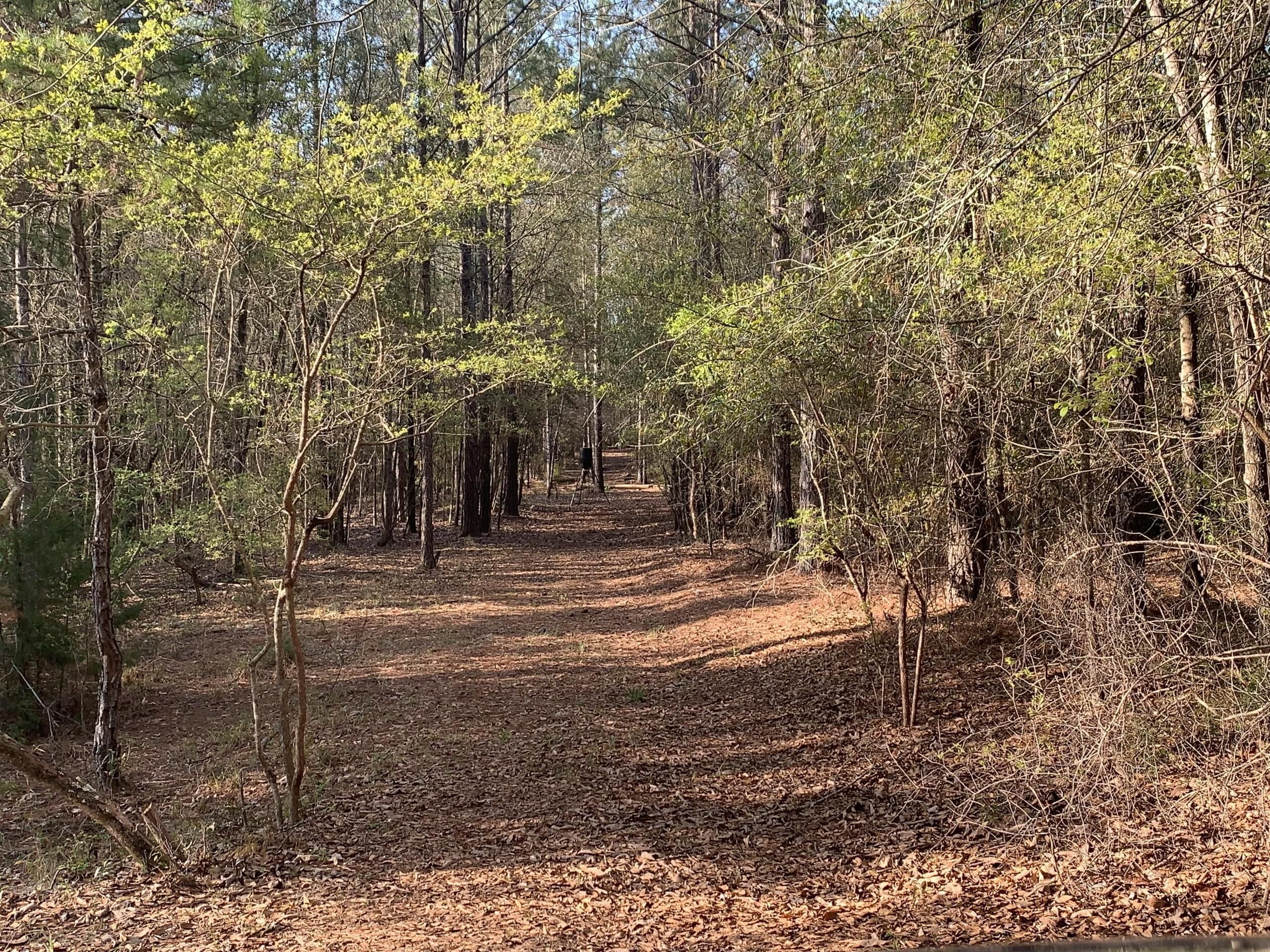 172 Acres, Forest Home, AL 36030 Land and Farm