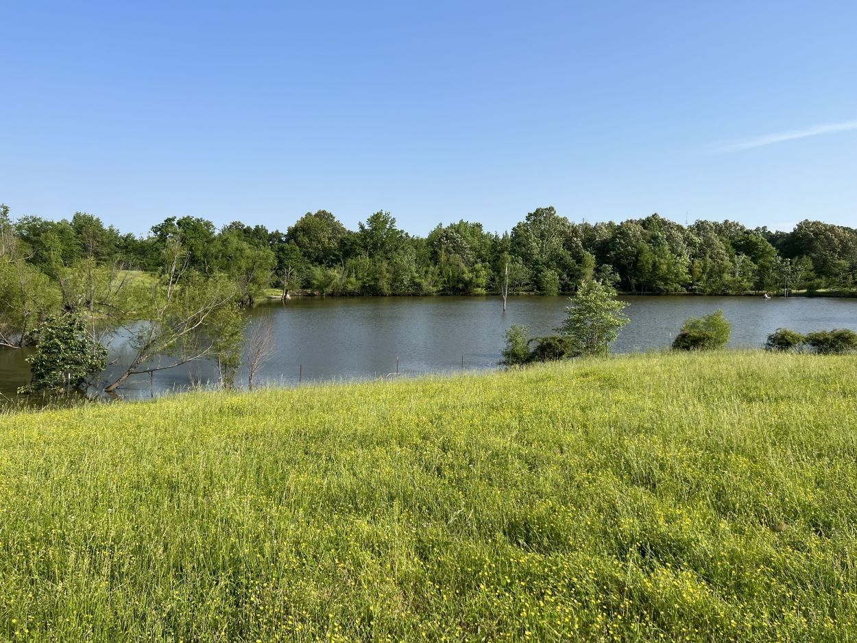 93.86 Acres, county road 510, Bloomfield, MO 63825 Land and Farm