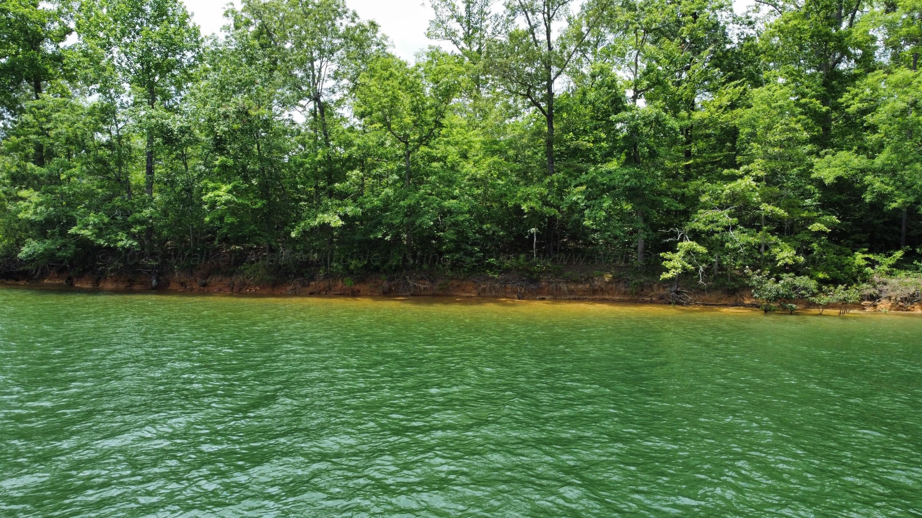 1.4 Acres, LOT 9 EDGEWATER BEND, Double Springs, AL 35553 Land and Farm