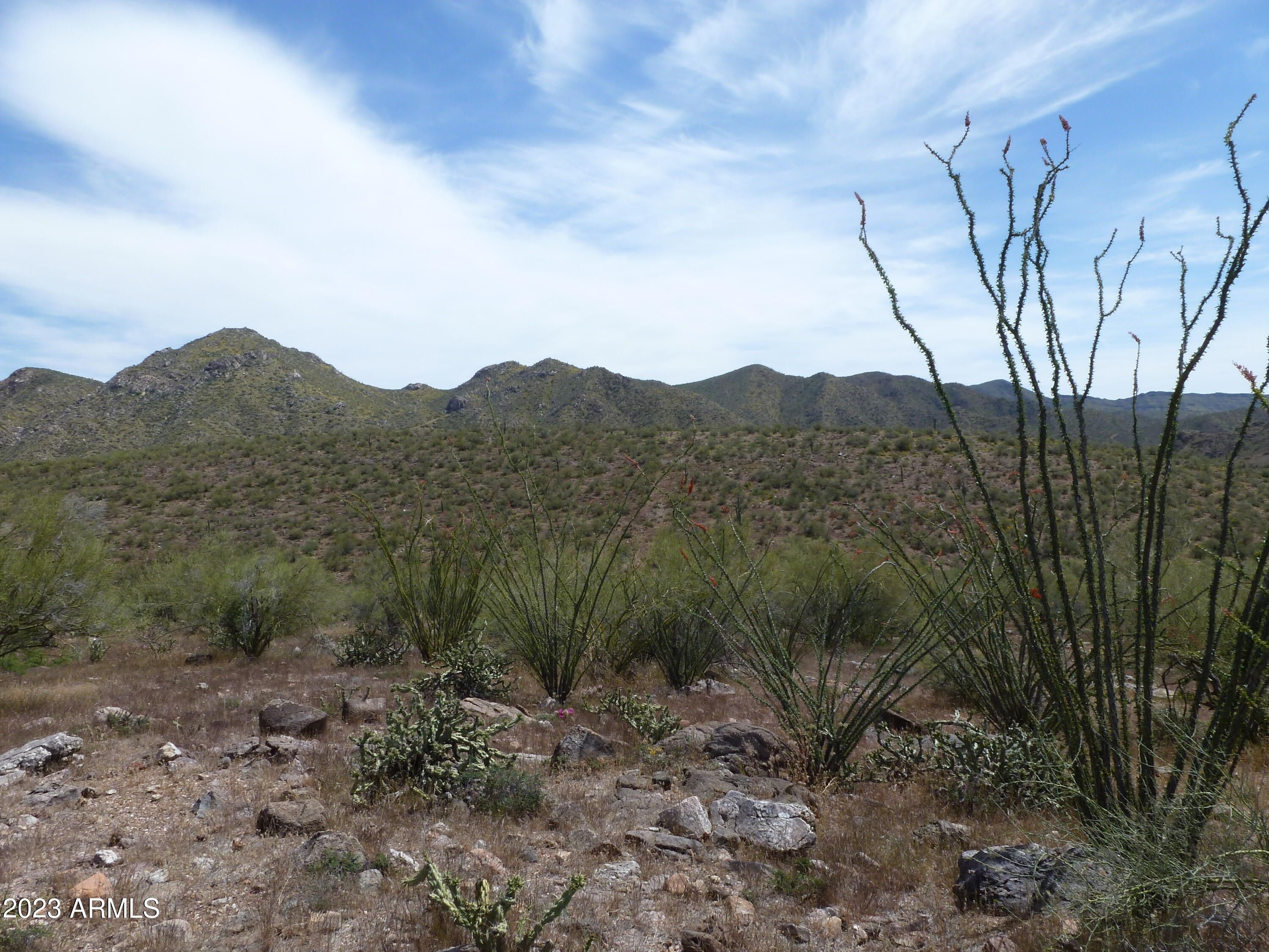 18.24 Acres, 0 Parcel E N Columbia Trail, Morristown, AZ 85342 Land