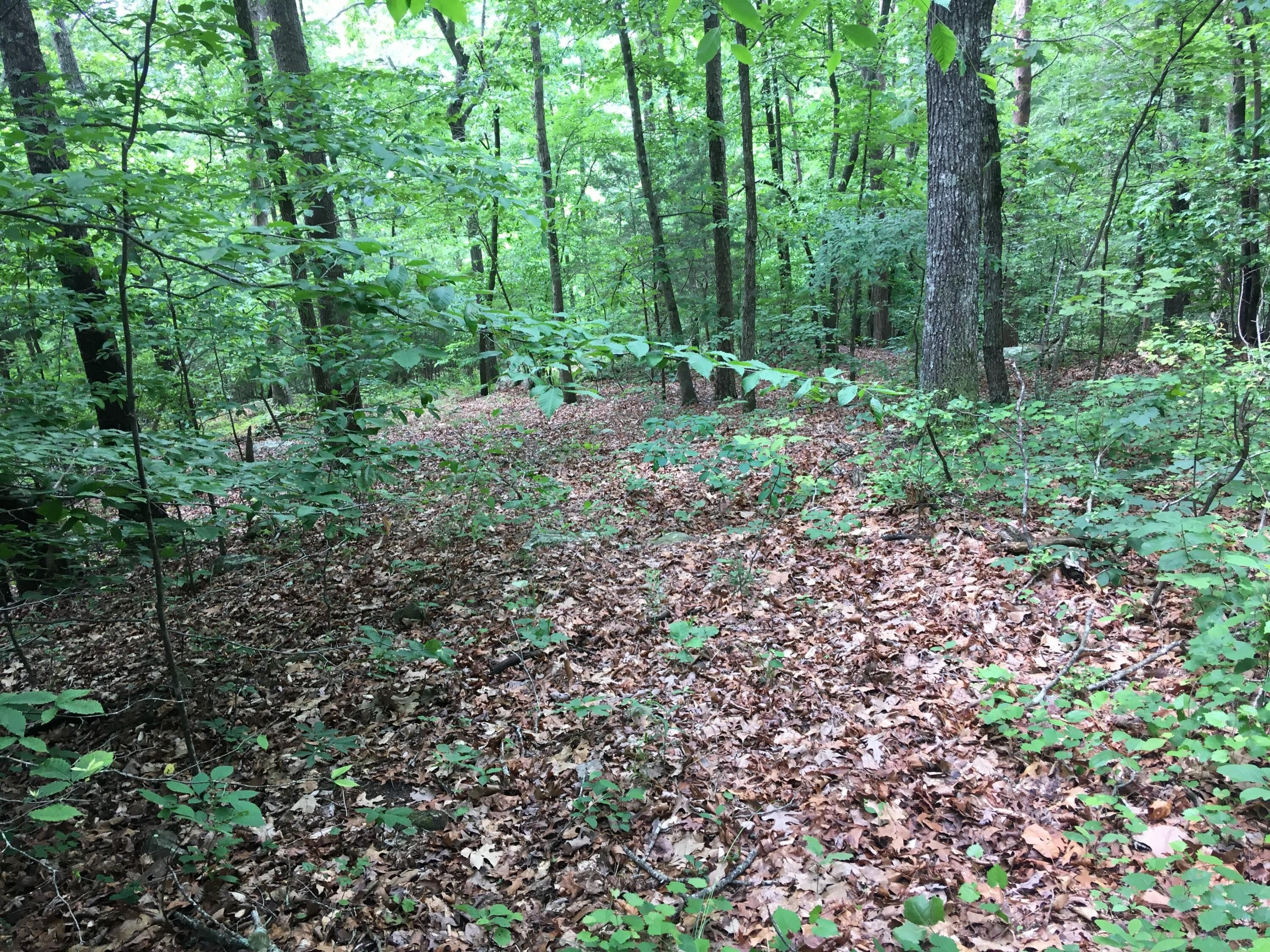 6.45 Acres, 0 Byrds Chapel Rd, Rising Fawn, GA 30738 Land and Farm