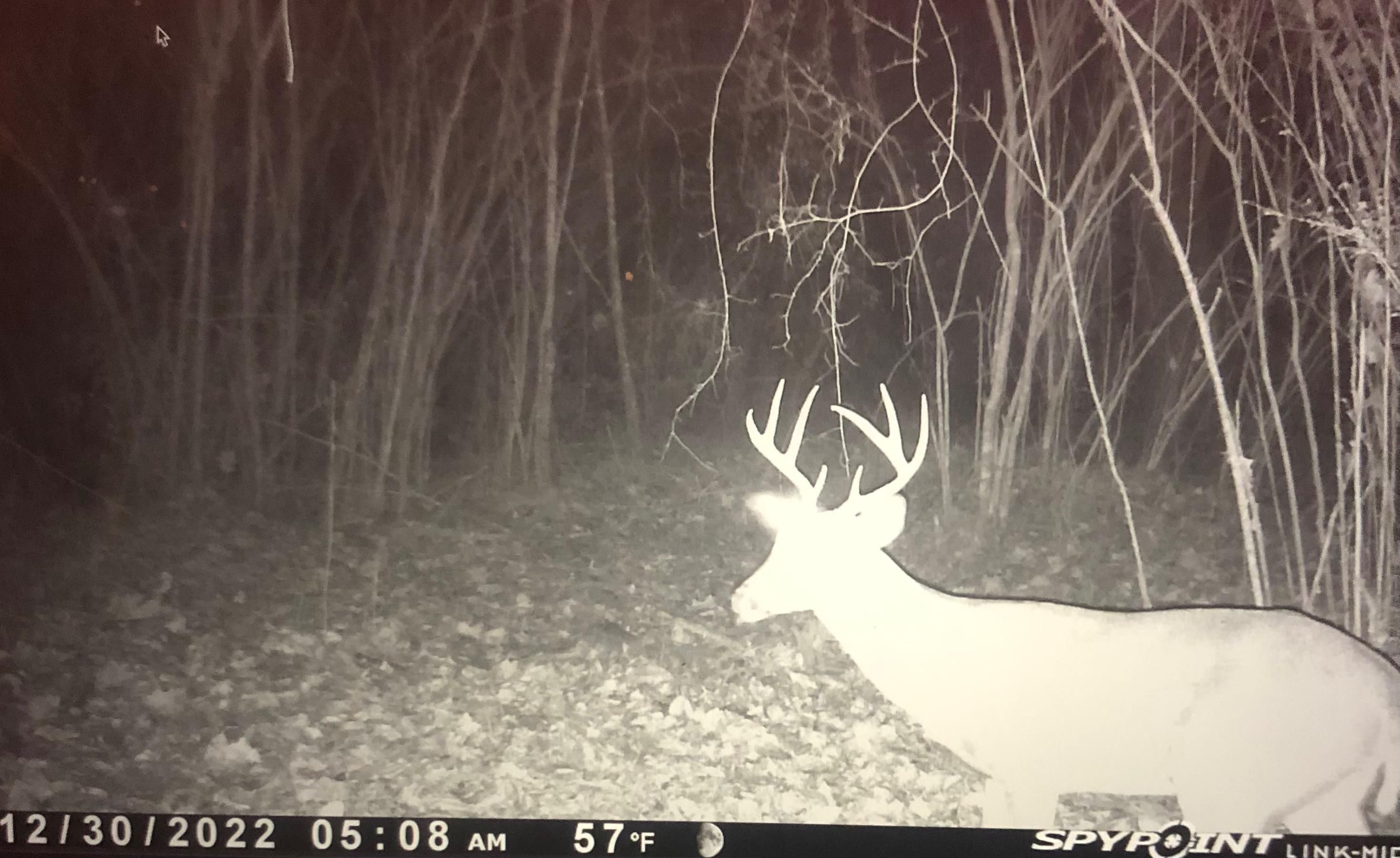 Cole Dr SE, Ruth, MS 39662 MLS 4045223 Land and Farm