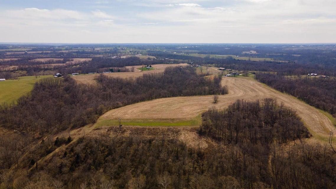 100 Acres, 3184 Walton Pike, Dover, KY 41034 Land and Farm