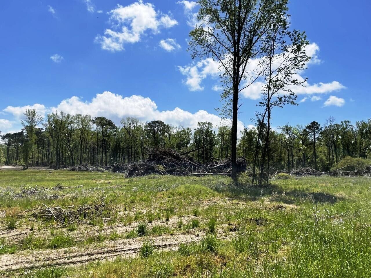 4.32 Acres, 0000 Annavesta Road, Hollywood, SC 29449 Land and Farm