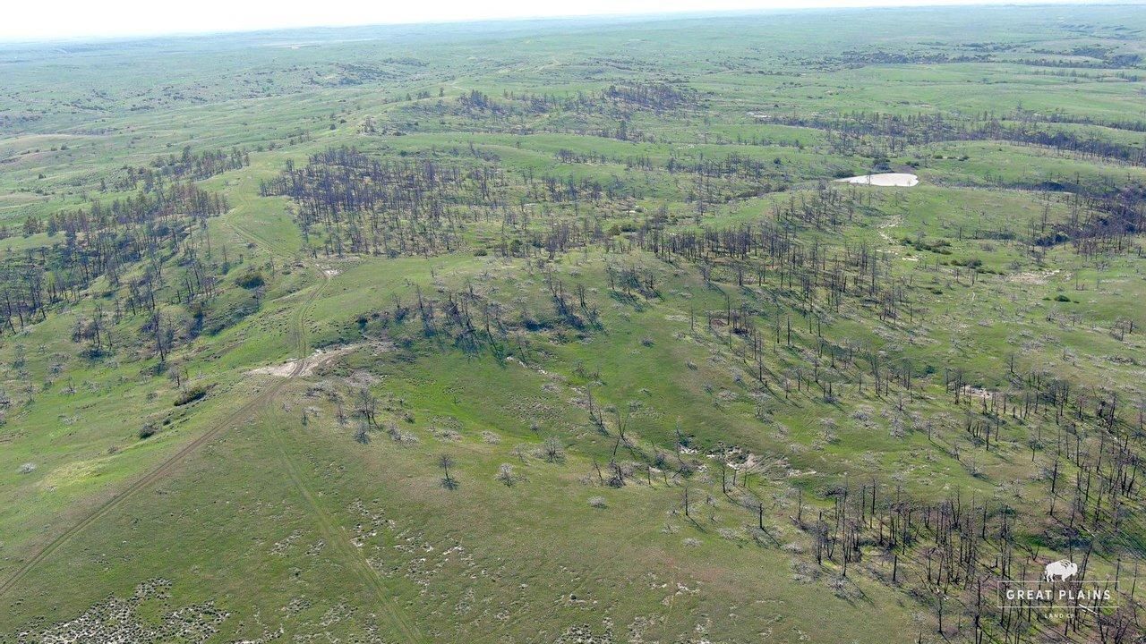 320 Acres, MT 59087 Land and Farm