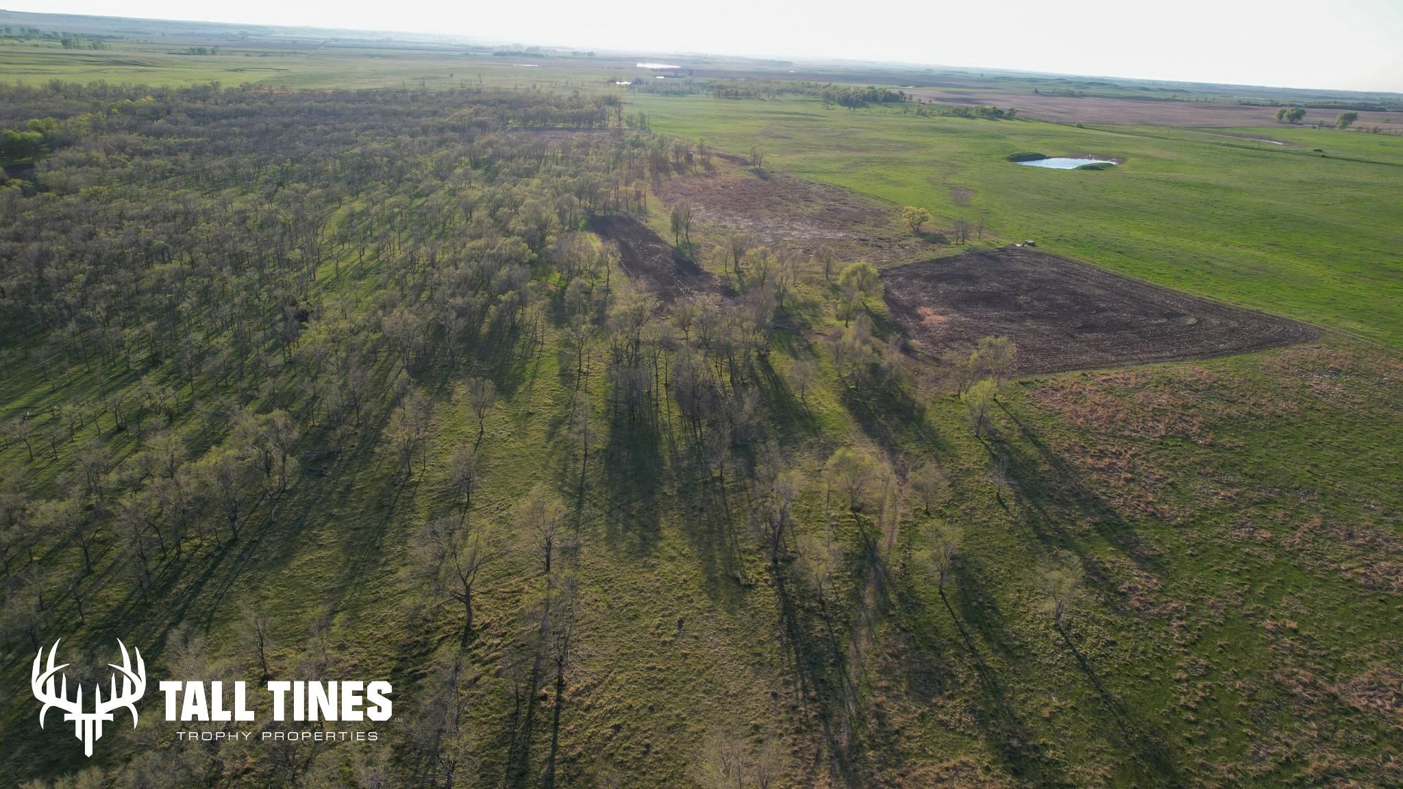 37537 206th Street, Wessington, SD 57381 Land and Farm