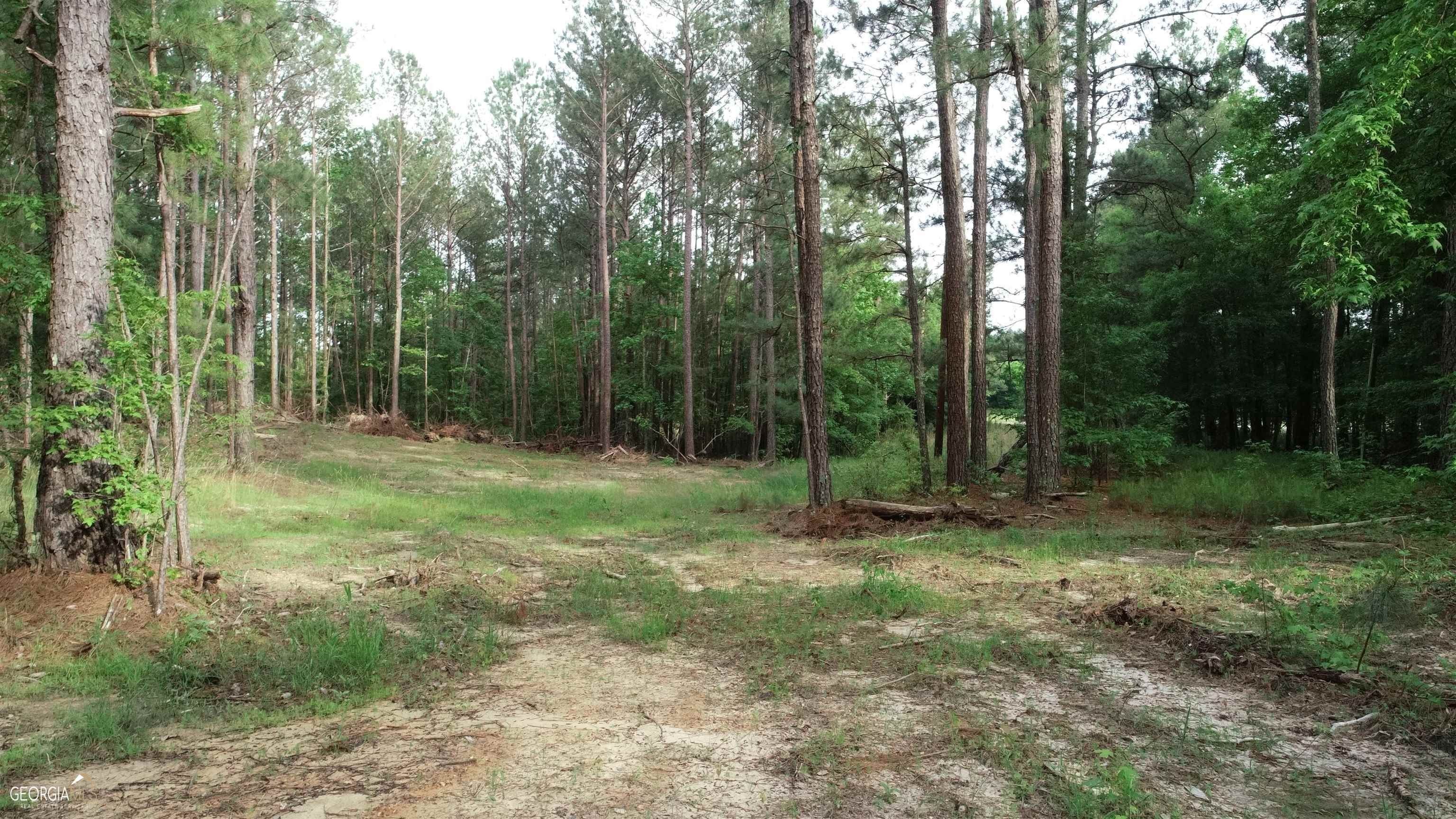 34.04 Acres, 0 Bethel Road, Siloam, GA 30642 Land and Farm