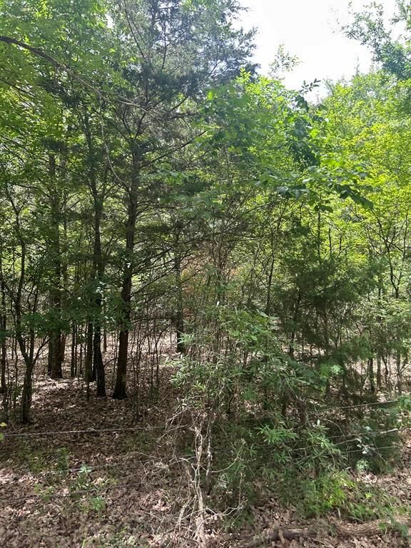 15.9 Acres, 611 County Rd 14555, Pattonville, TX 75468 Land and Farm