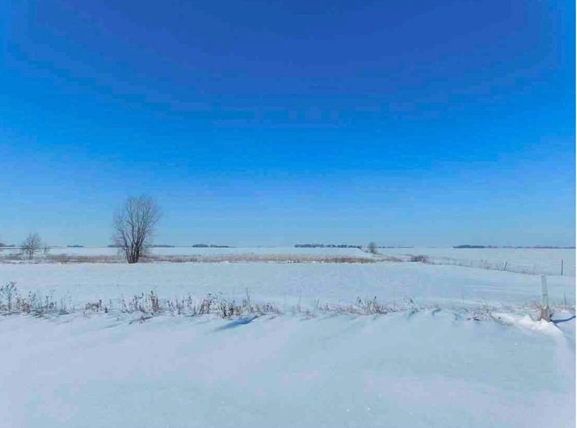 200 Acres, Racine, MN 55967 Land and Farm