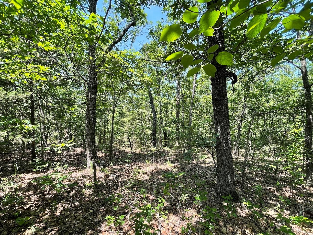 State Route 14, Dora, MO 65637 MLS 60239998 Land and Farm