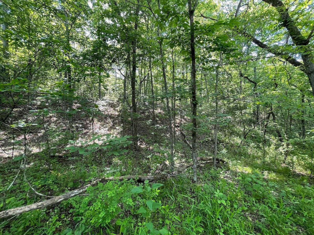 County Road P164, Fremont, MO 63941 MLS 60240120 Land and Farm