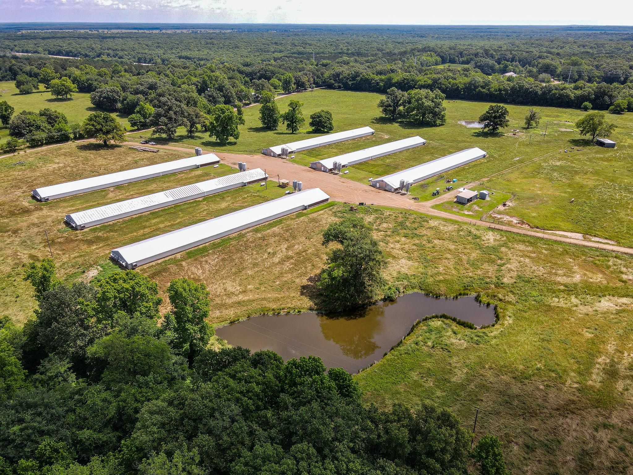 42.33 acres in Omaha, TX, 75571 Land and Farm