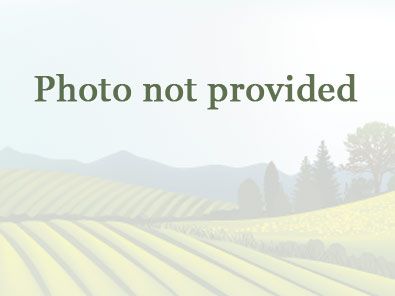 2.41 Acres, 1635 Zubia Street, Overton, NV 89040 Land and Farm