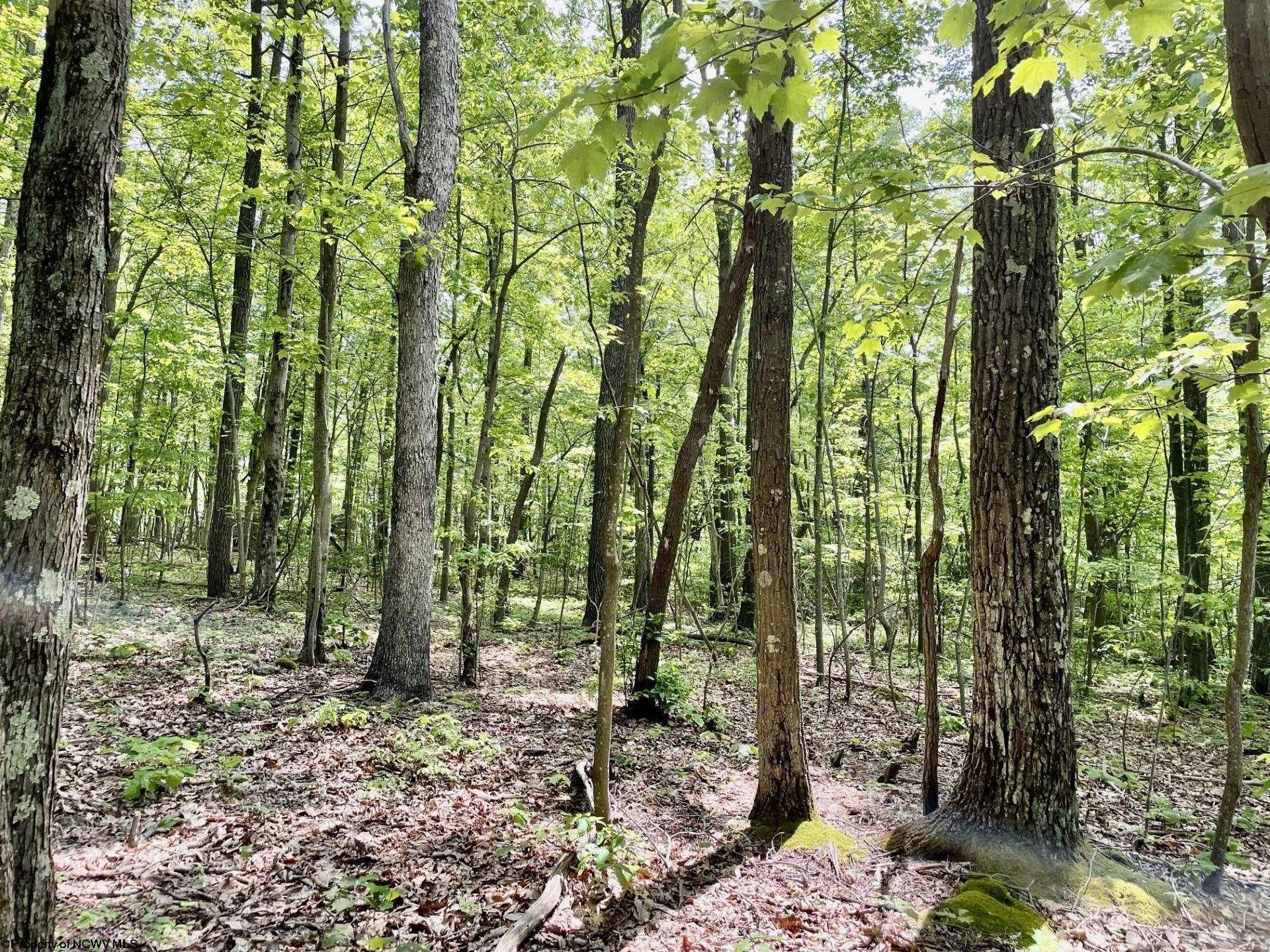 42.92 Acres, 2000 Kingwood Pike, WV 26508 Land and Farm