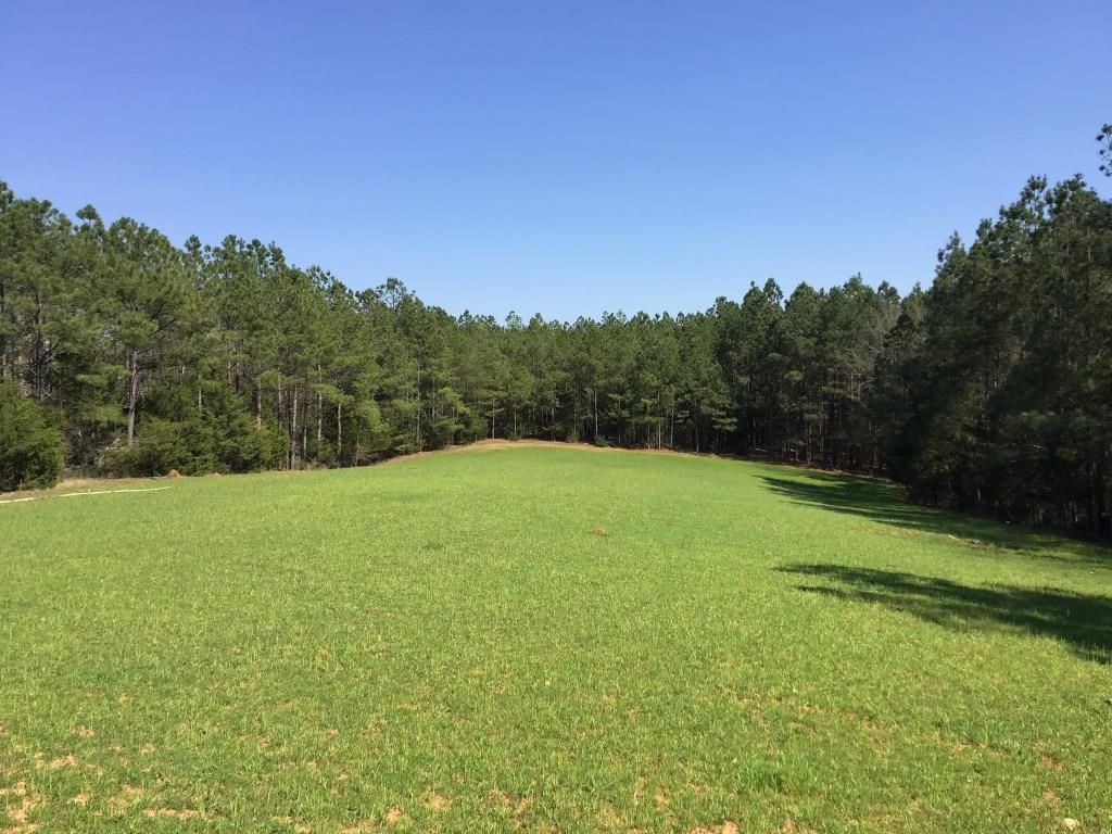 72 Acres, Sweet Prospect Road, Winnsboro, SC 29014 Land and Farm