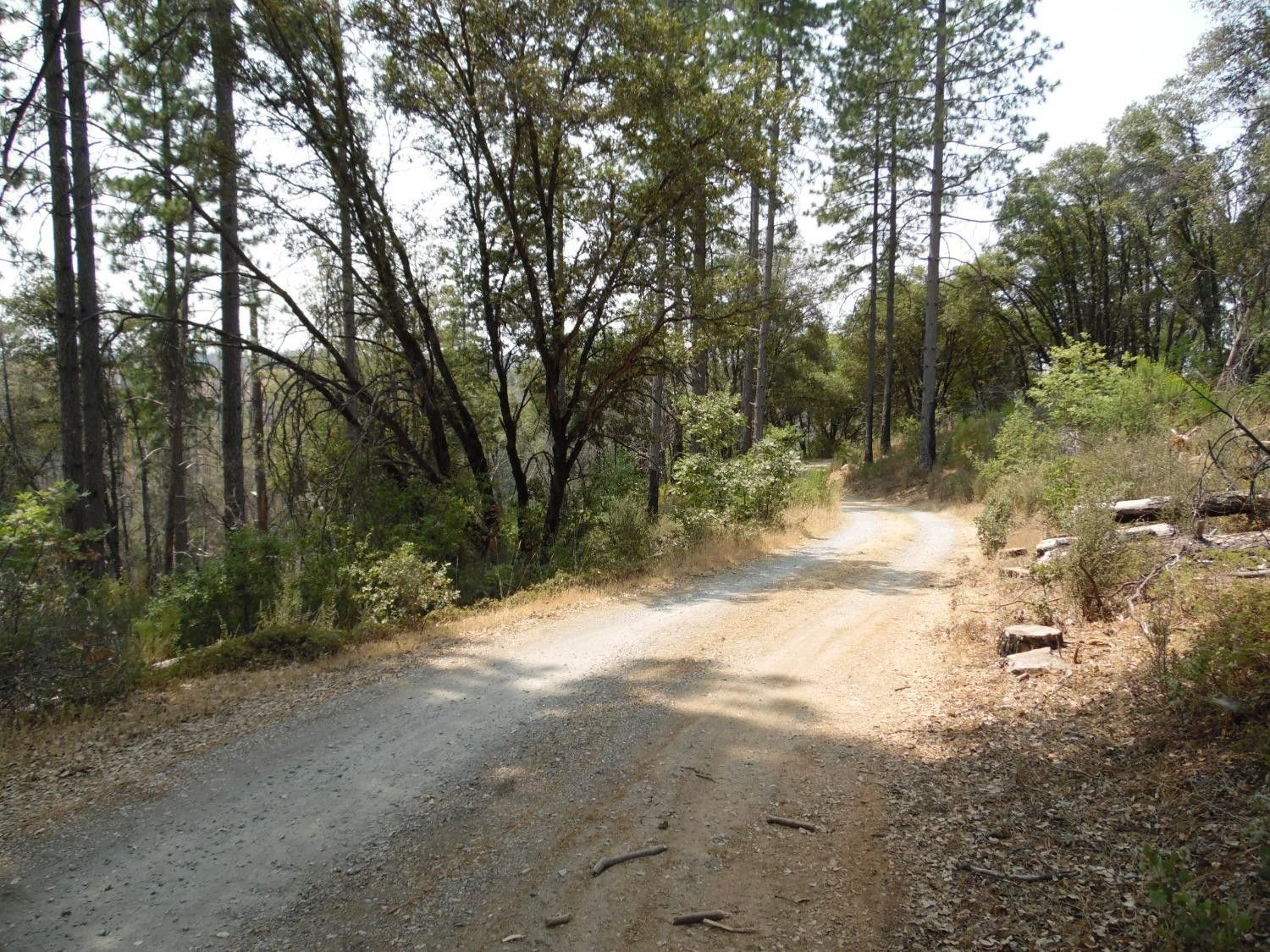 5.22 Acres, 1120 Cedar Ridge Road, Rail Road Flat, CA 95248 Land and Farm