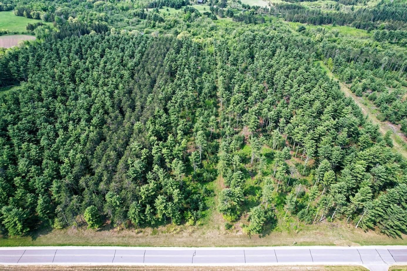 10 Acres, 0 County Rd. V, Ridgeland, WI 54763 Land and Farm