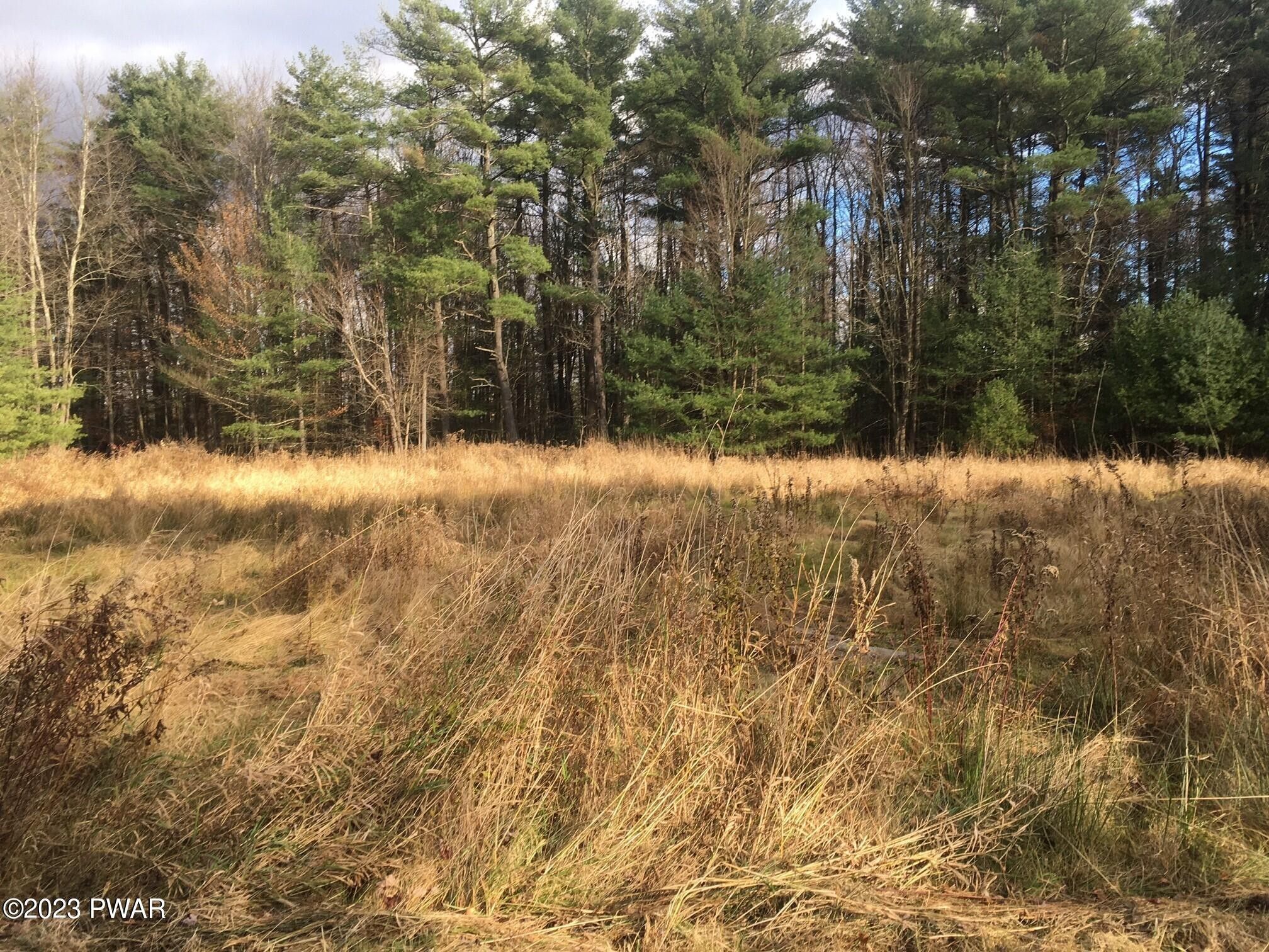 7.17 Acres, 18R Deer Laurel Estate Rd, Hamlin, PA 18427 Land and Farm