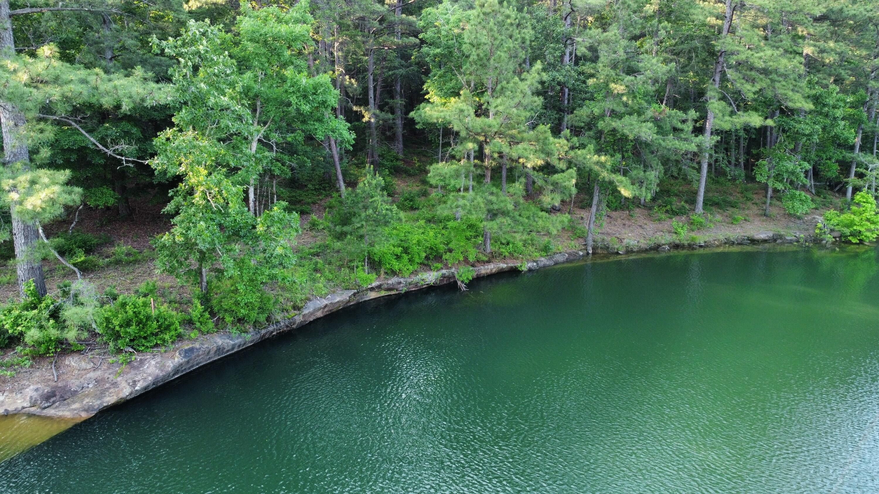 6.04 Acres, 1498 LITTLE BEAR BRANCH ROAD, Double Springs, AL 35553