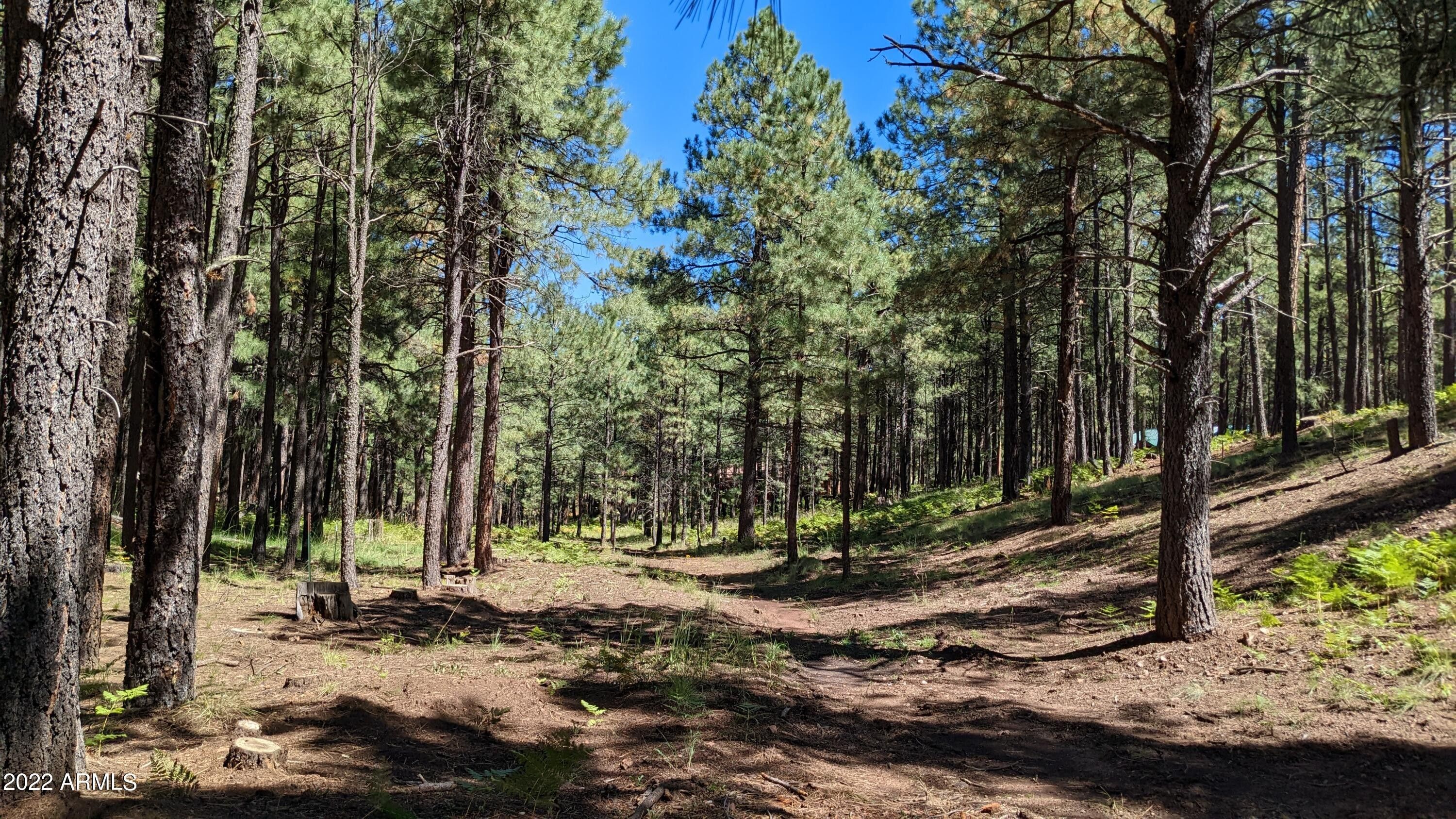 1 Acres, 2081 TURKEY Trail, Heber, AZ 85931 Land and Farm