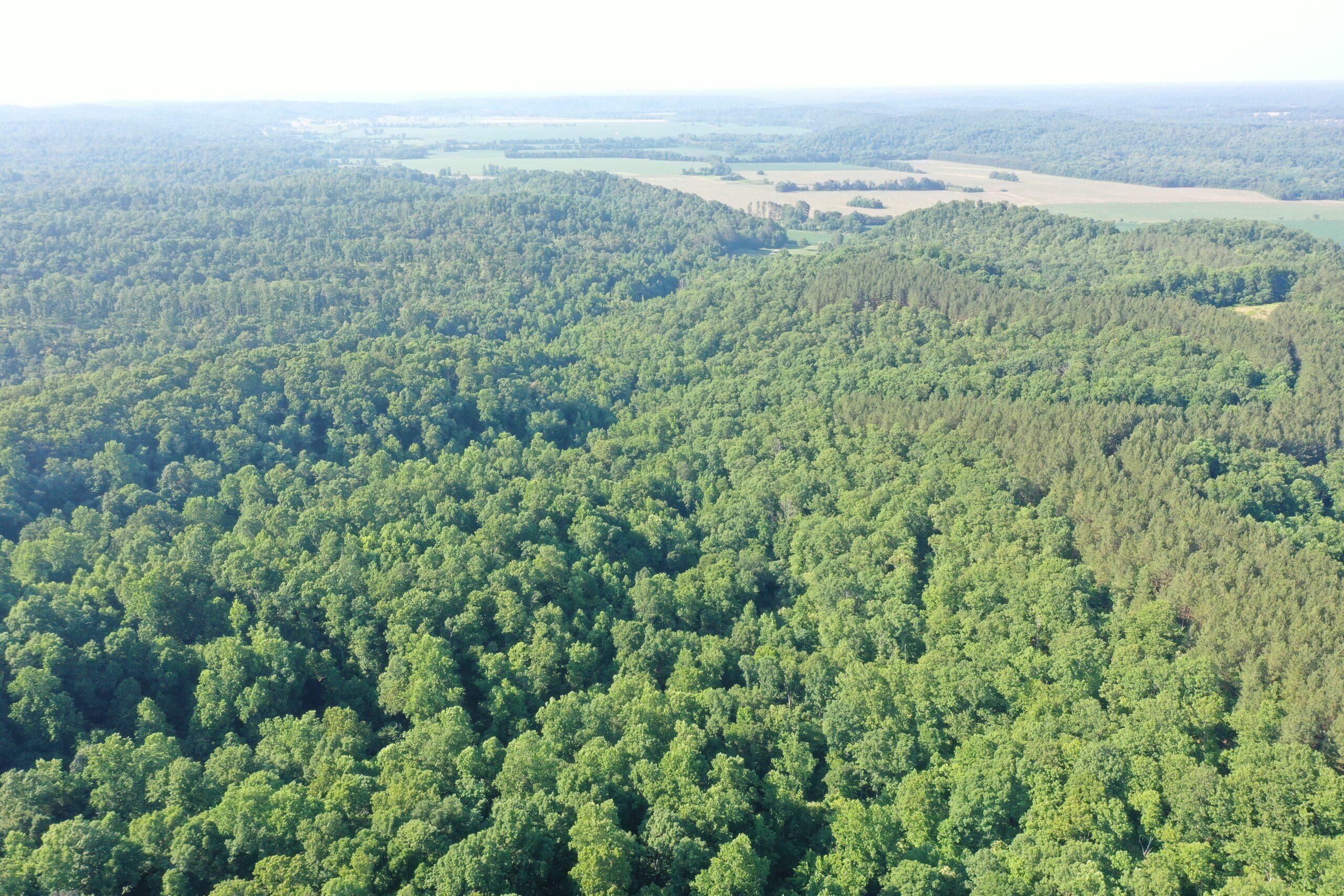 245 Acres, Bakerville Road, Waverly, TN 37185 Land and Farm