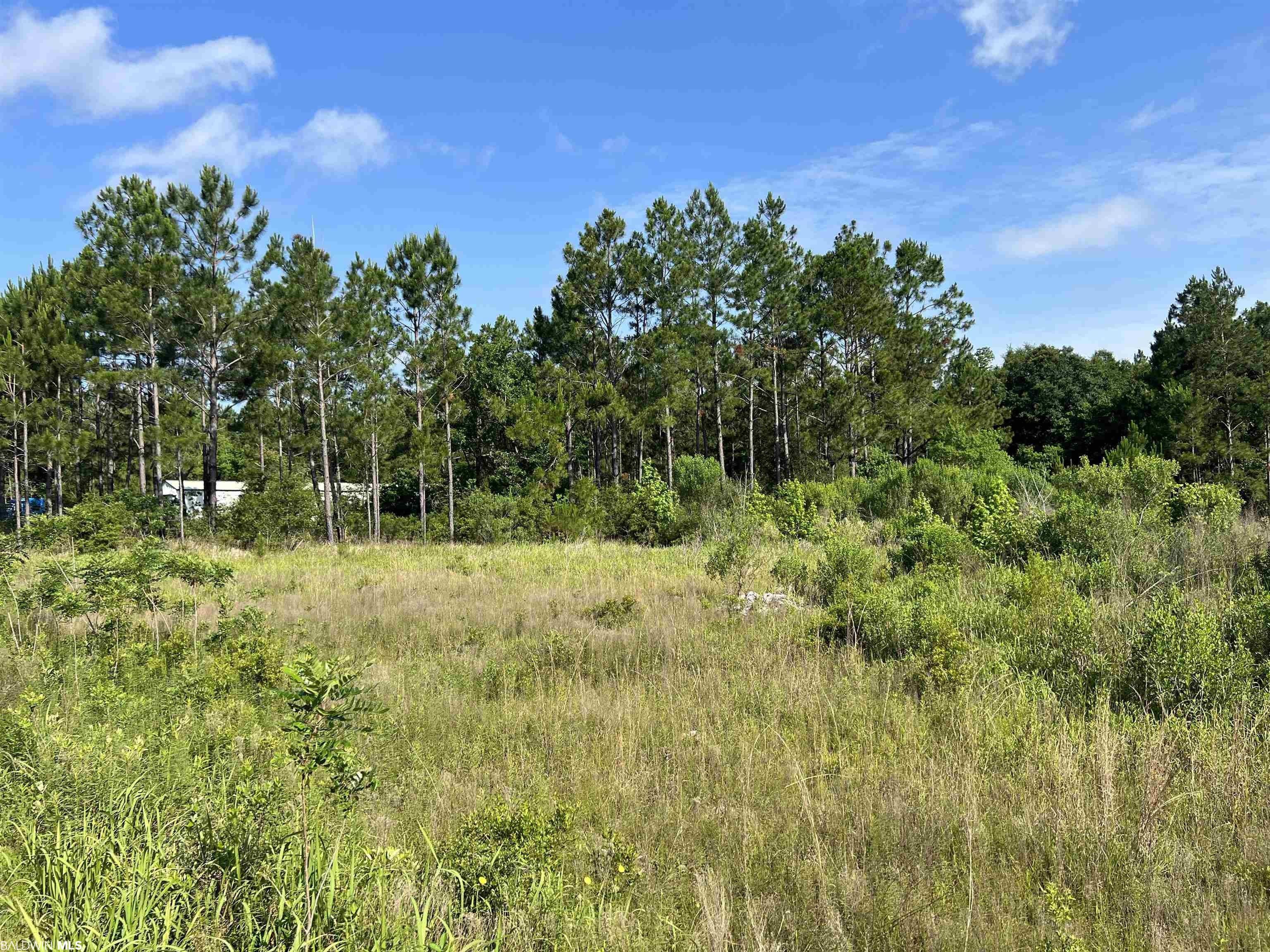 2 Acres, 0 Robinson Ln, Gulf Shores, AL 36542 Land and Farm