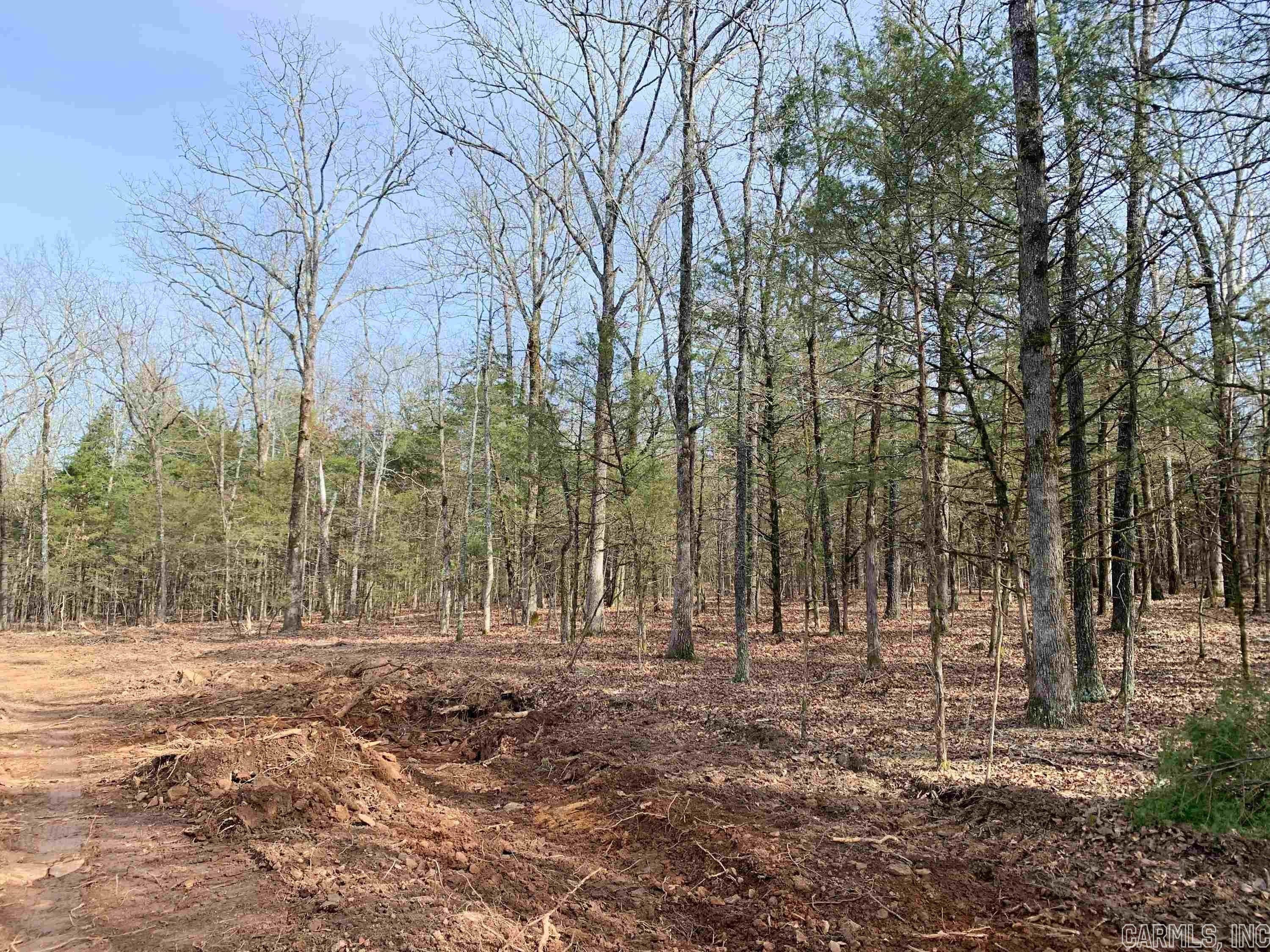 32 Acres, 246 Buckeye Lane, Quitman, AR 72131 Land and Farm