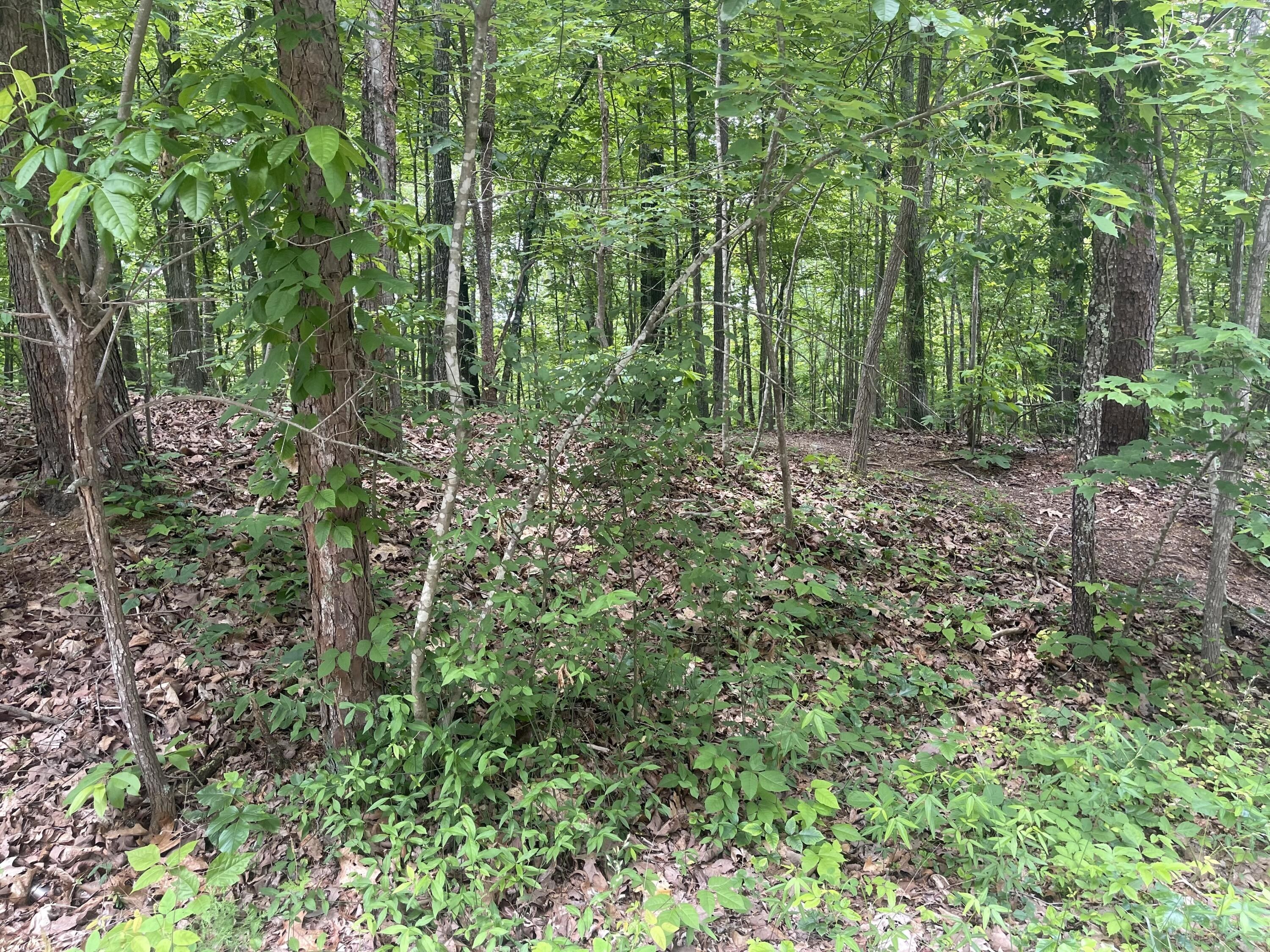 0.52 Acres, Lot 145 Bretton Dr, Soddy Daisy, TN 37379 Land and Farm