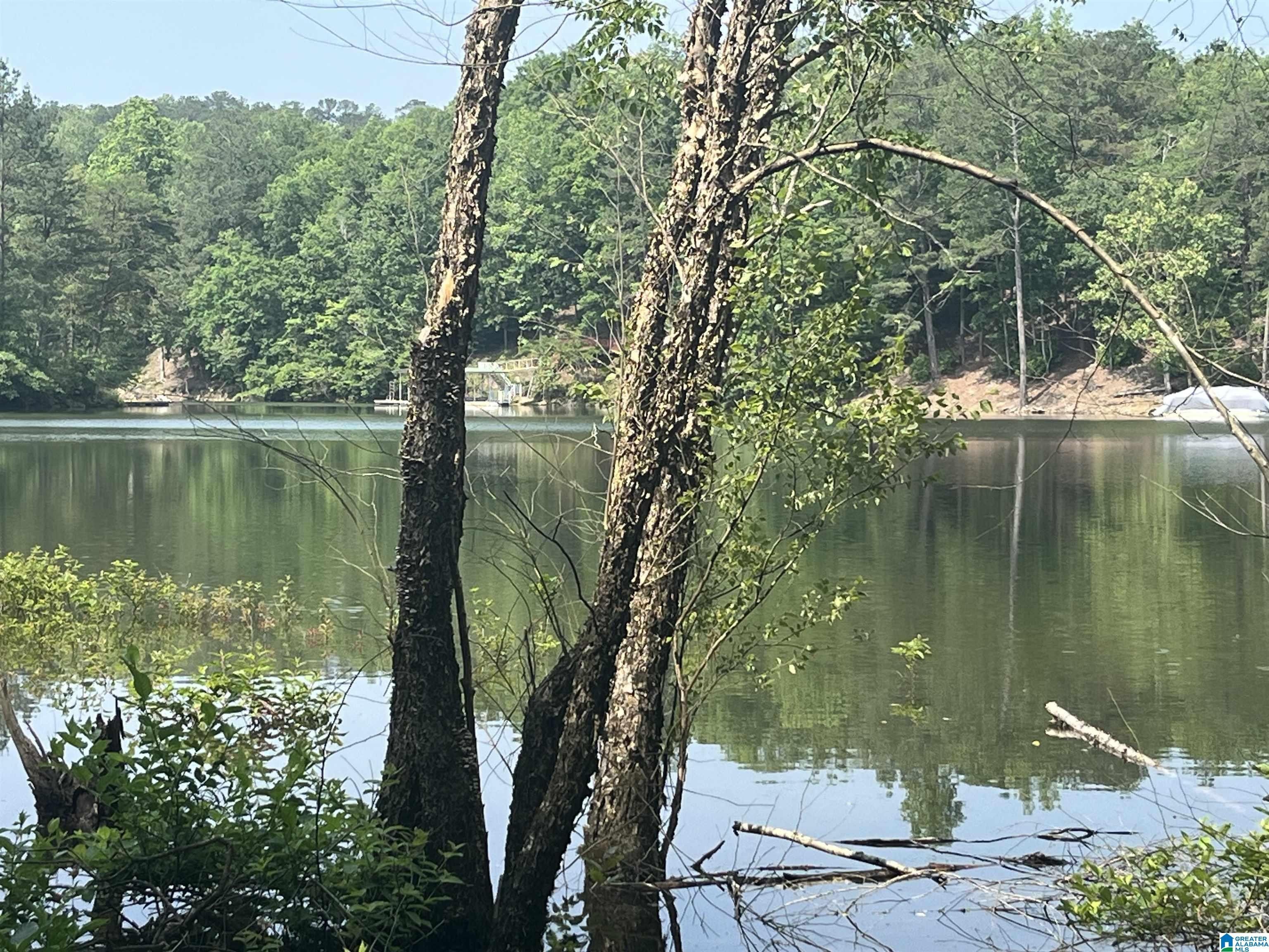 2 Acres, 2 acres COUNTY ROAD 113, Double Springs, AL 35553 Land and Farm