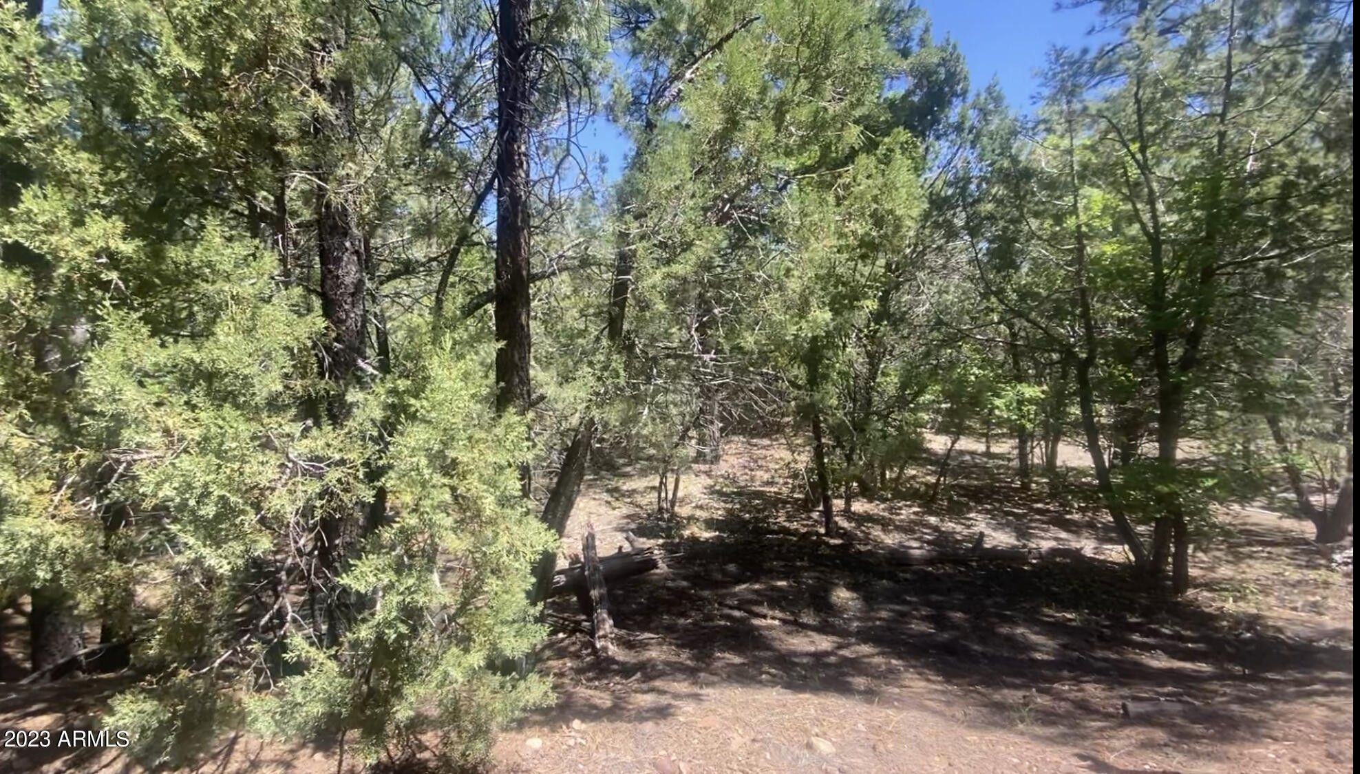 Tbd Davis Lane, AZ 85929 MLS 6562125 Land and Farm