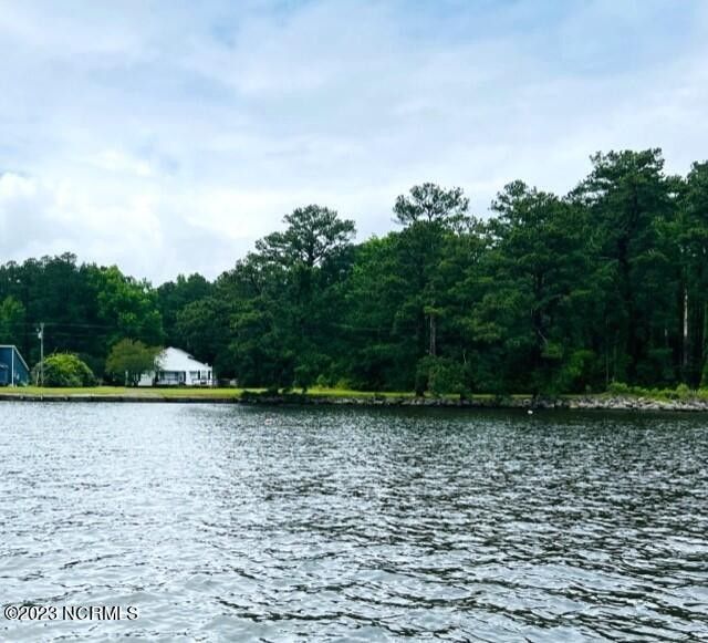 2 Acres, 310 Myrtlewood Lane, Bayboro, NC 28515 Land and Farm