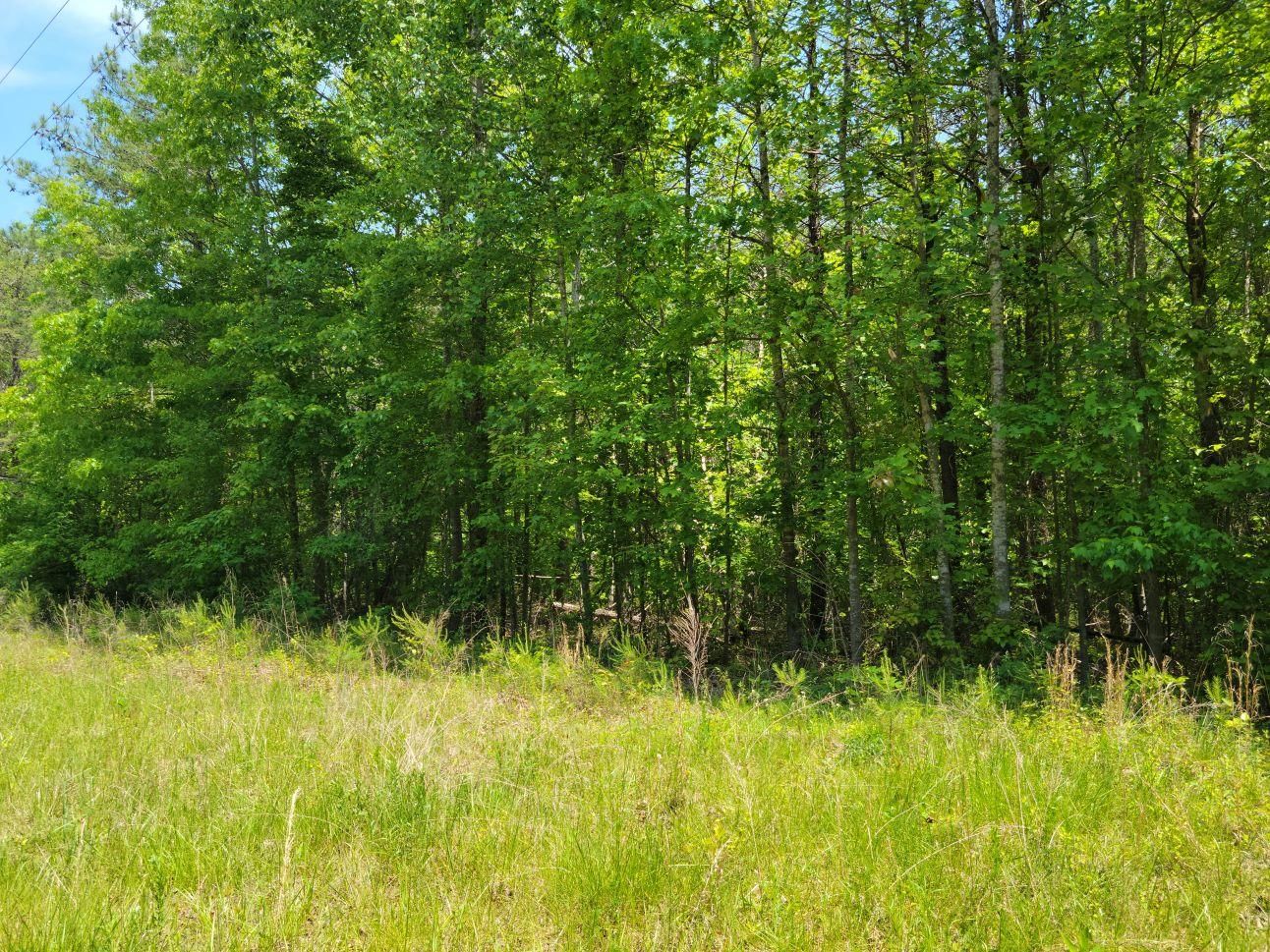 5 Acres, Ferrum, VA 24088 Land and Farm