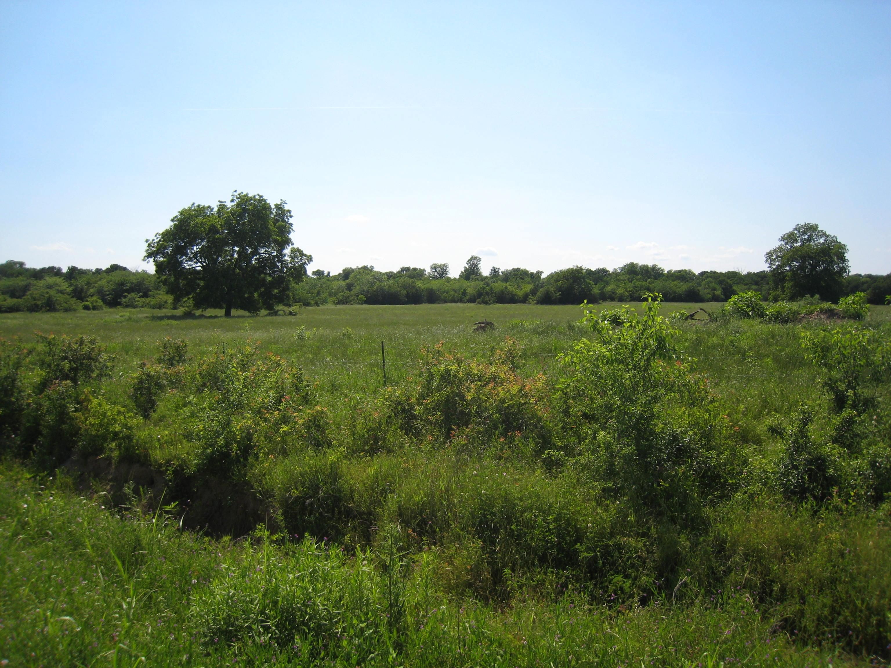 34.61 Acres, 34.61 ac County Road 1083, Celeste, TX 75423 Land and Farm