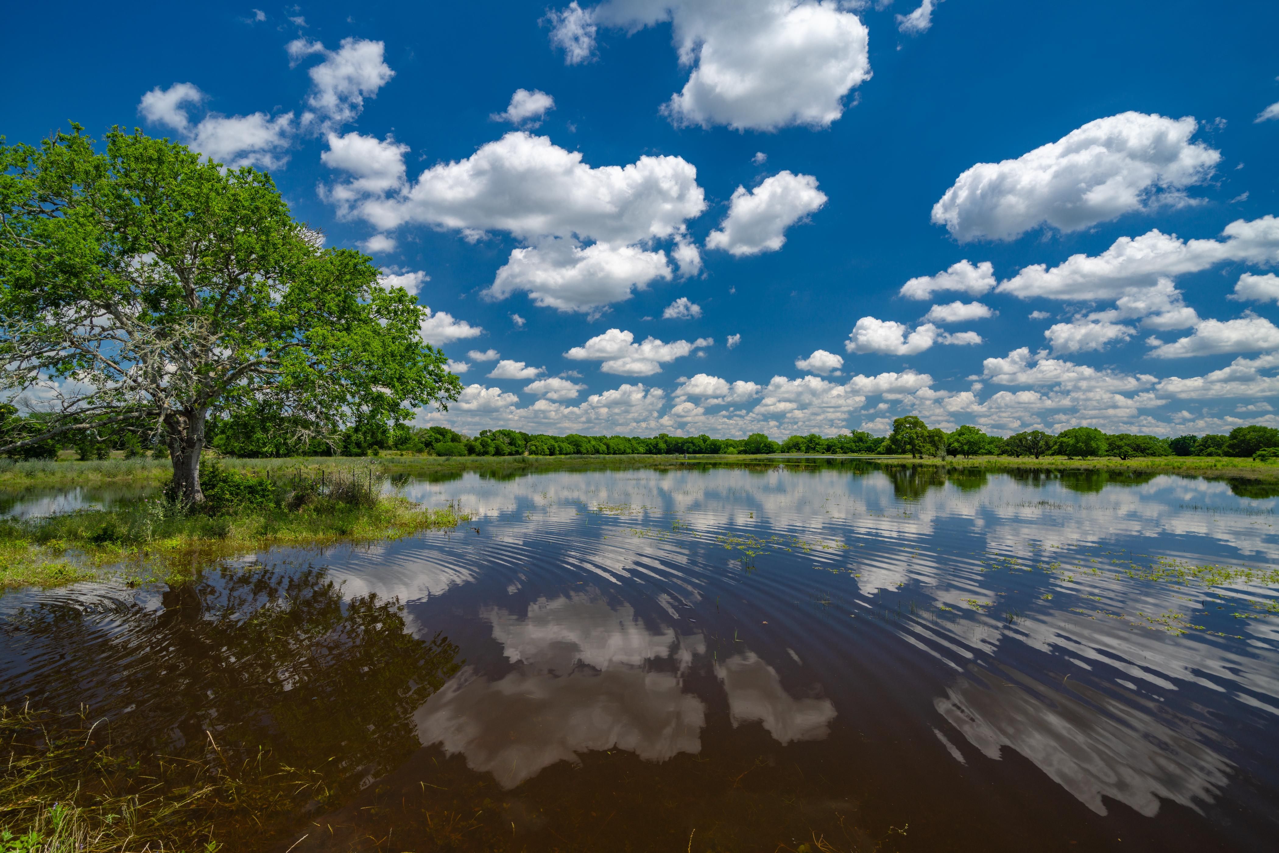 292 Acres, Burton, TX 77835 Land and Farm