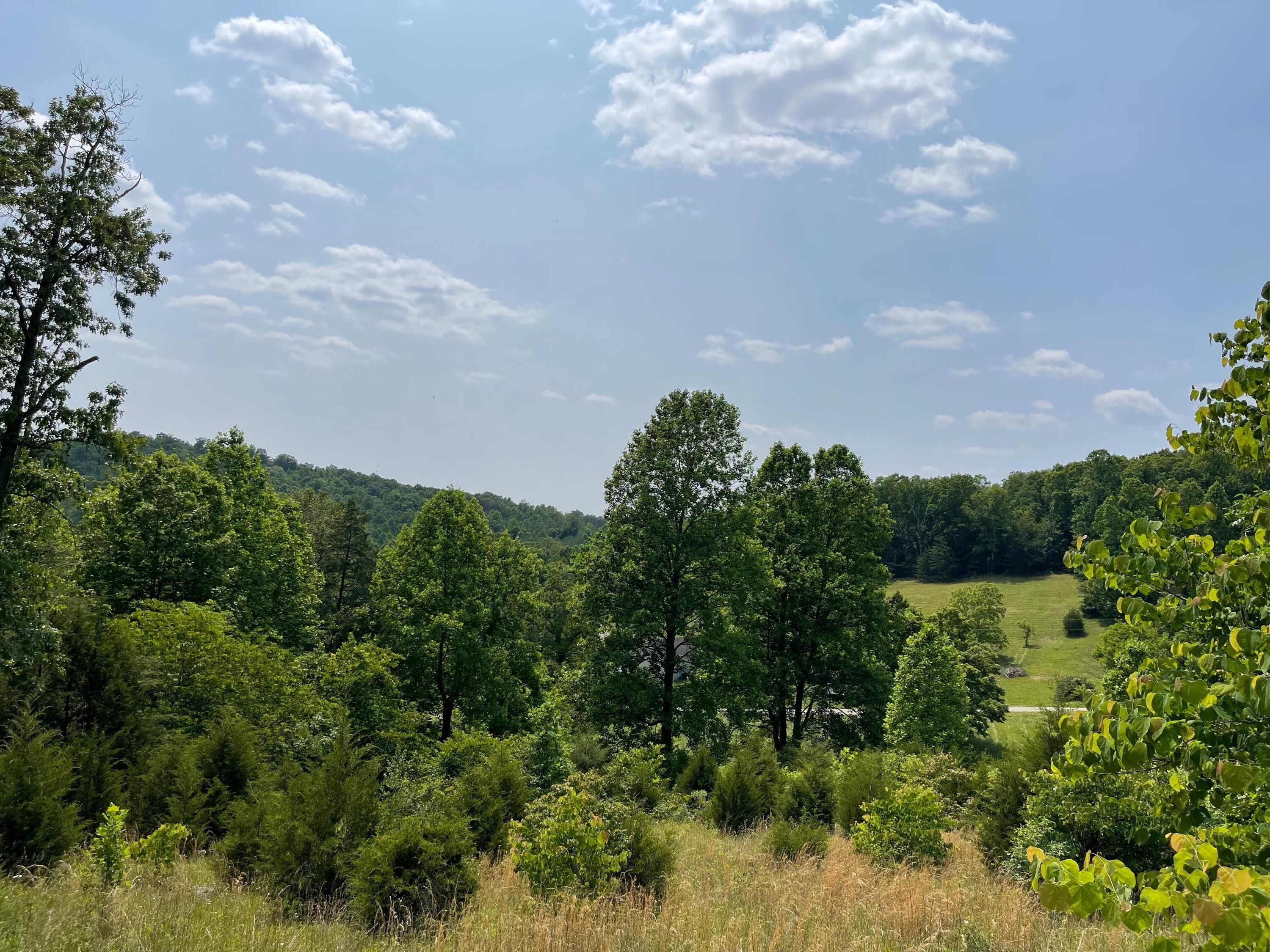 9 Acres, 0000 Drive, Ferguson, KY 42533 Land and Farm