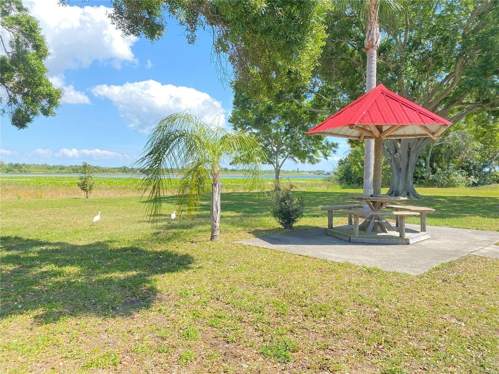 38.12 Acres, 12651 SEMINOLE BOULEVARD, Largo, FL 33778 Land and Farm