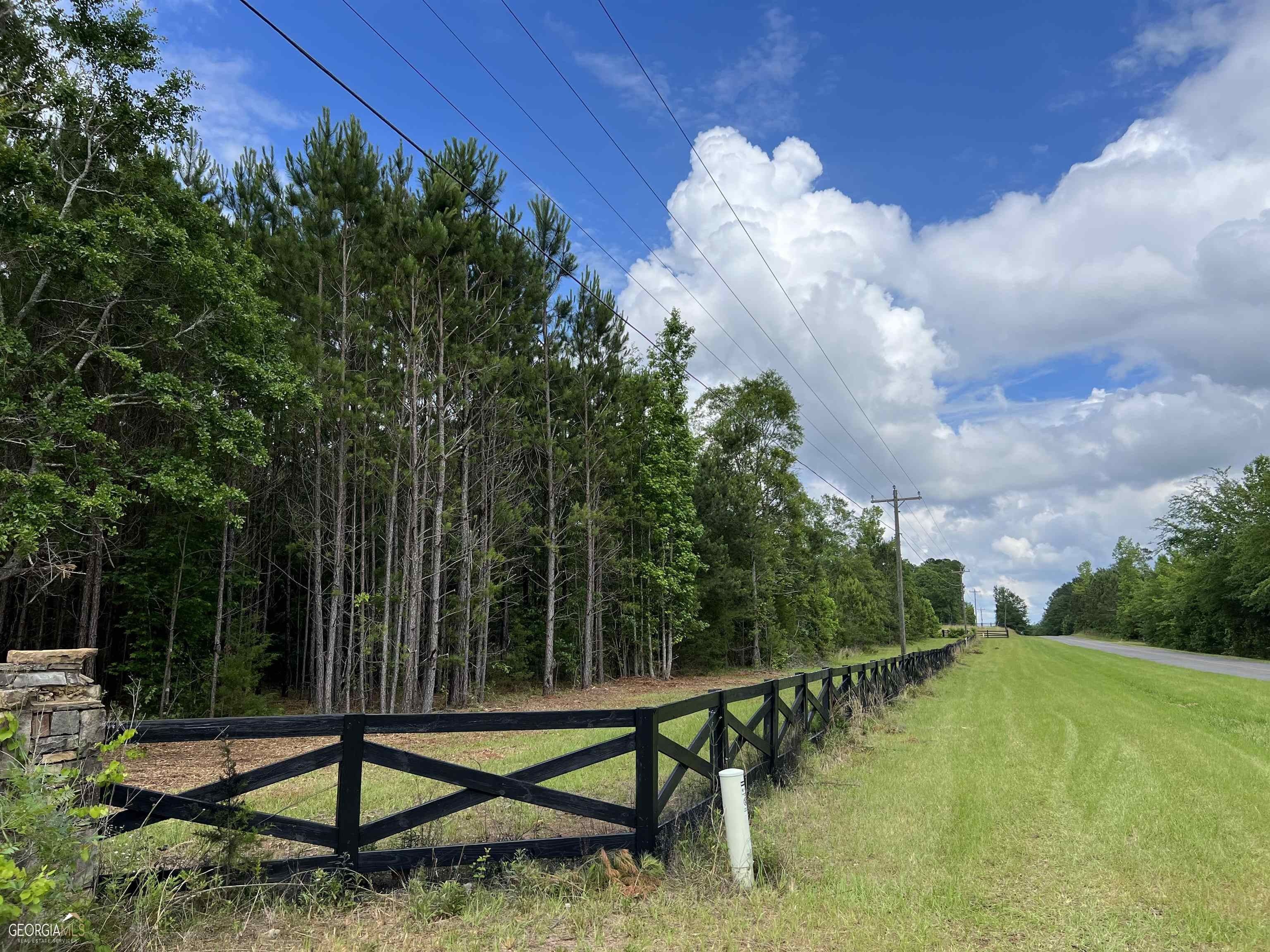 98.82 Acres, 0 Floyd Road, Forsyth, GA 31029 Land and Farm