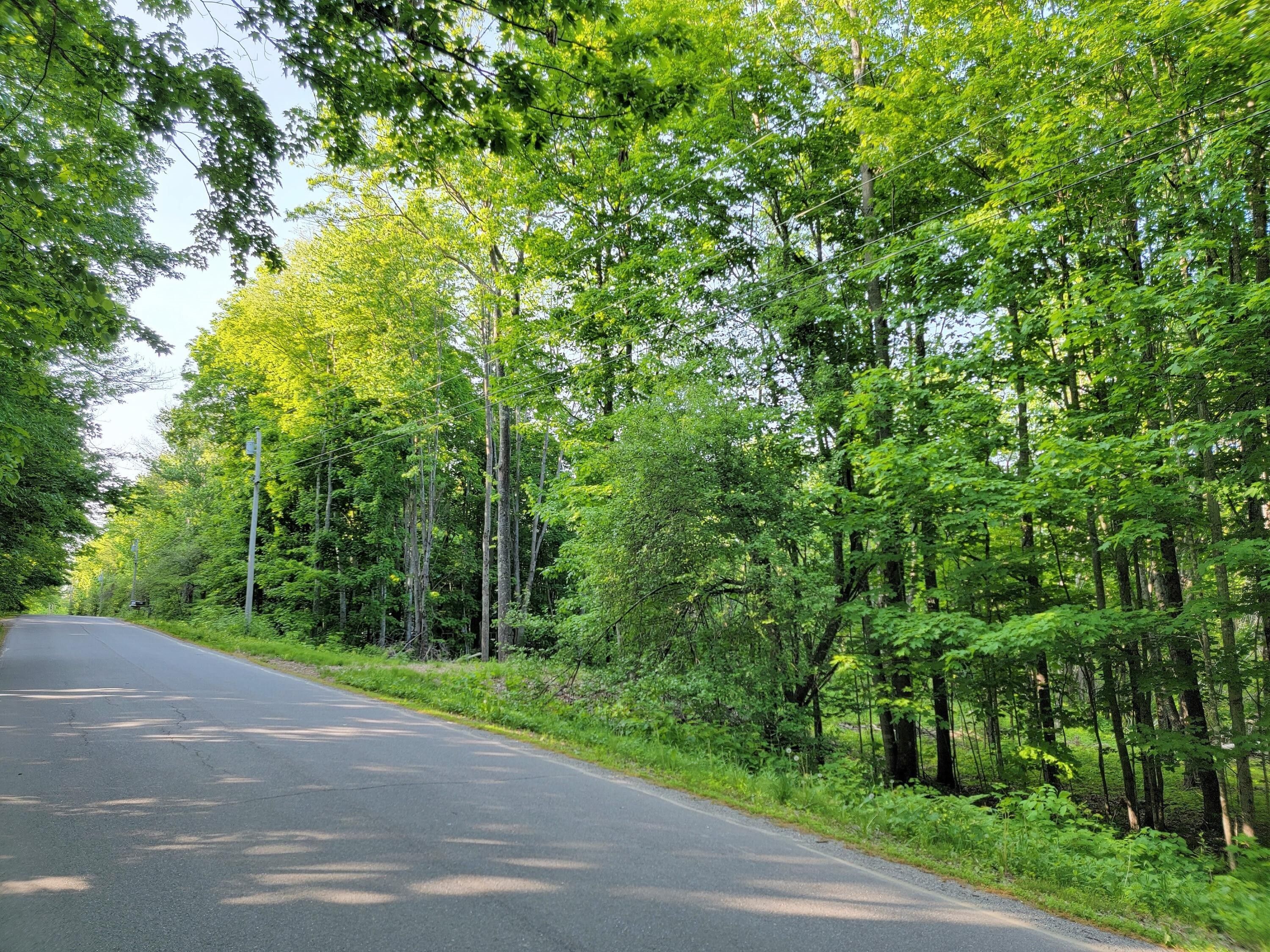 3.2 Acres, 753a Garcelon Road, Burnham, ME 04922 Land and Farm