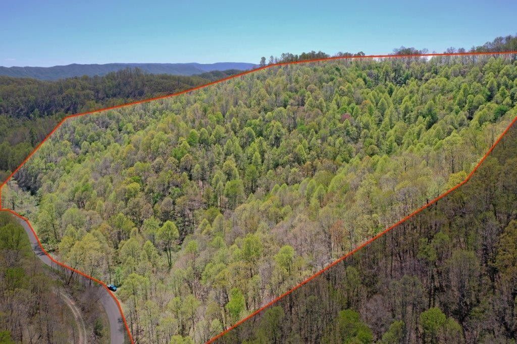 44.36 Acres, Lot 9 Panther Branch Road, Cedar Bluff, VA 24609 Land