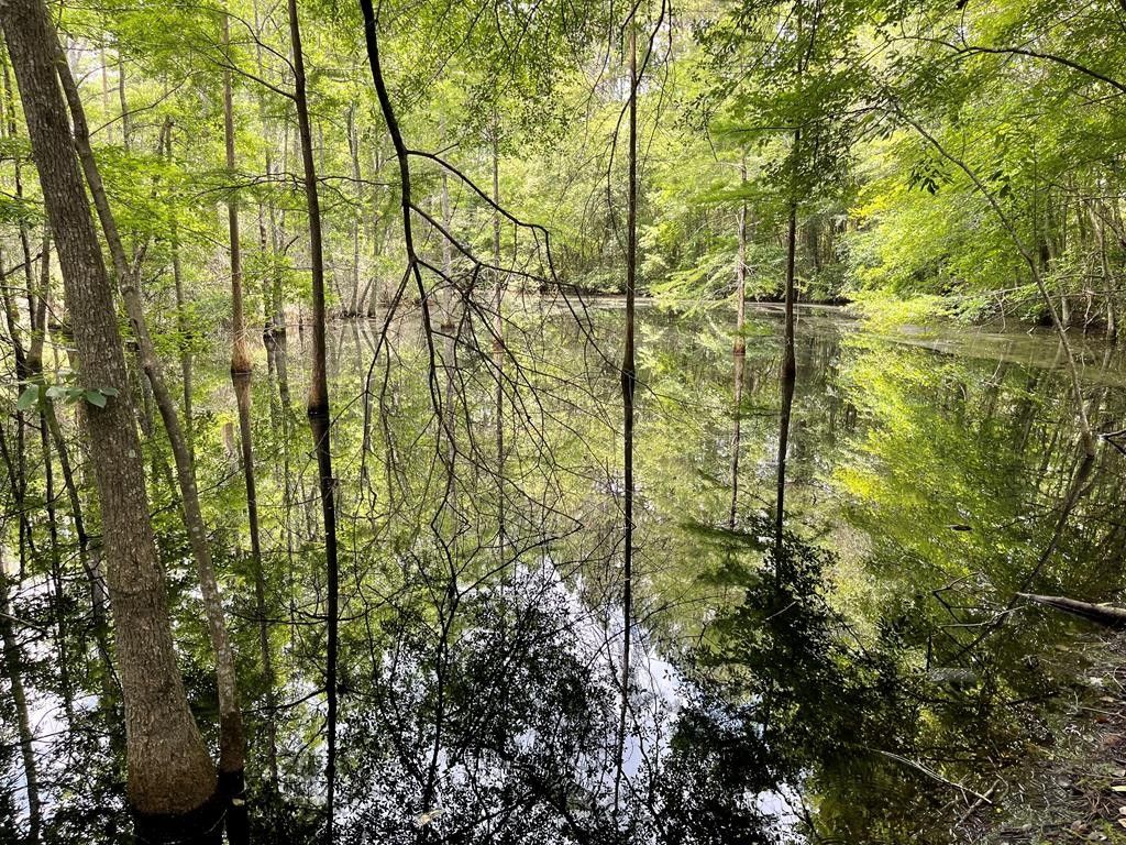 10 Acres, 5785 Skipper Bridge Road, Hahira, GA 31632 Land and Farm