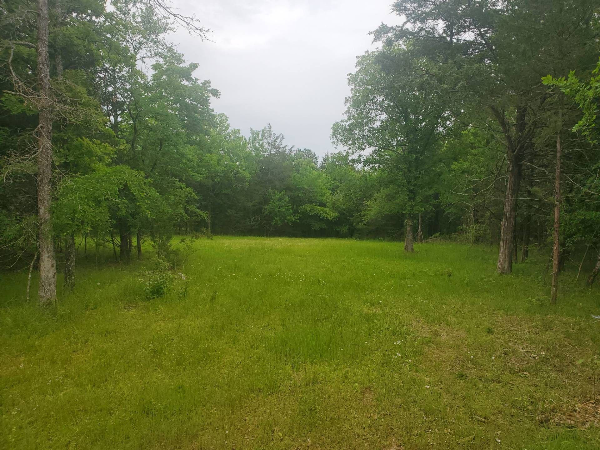 5 Acres, 103B Ozzie Cobb, Rattan, OK 74562 Land and Farm