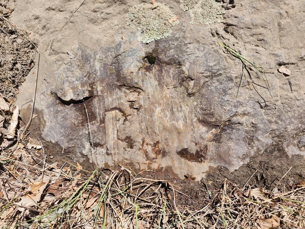 60 Acres, 1146 Eagle Rock Road, Dushore, PA 18614 Land and Farm