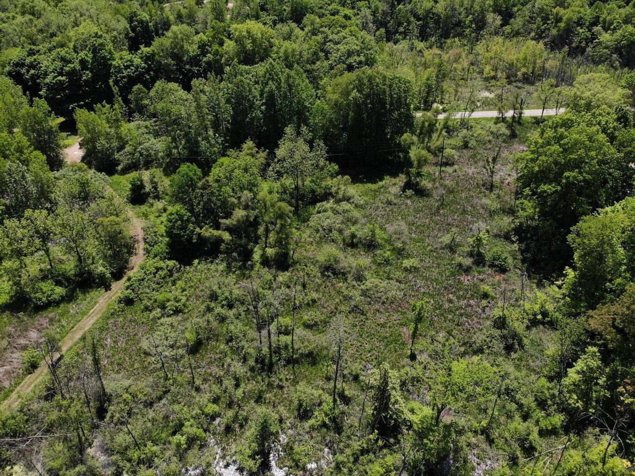 40 Acres, V/L Dutch Settlement St., Marcellus, MI 49067 Land and Farm