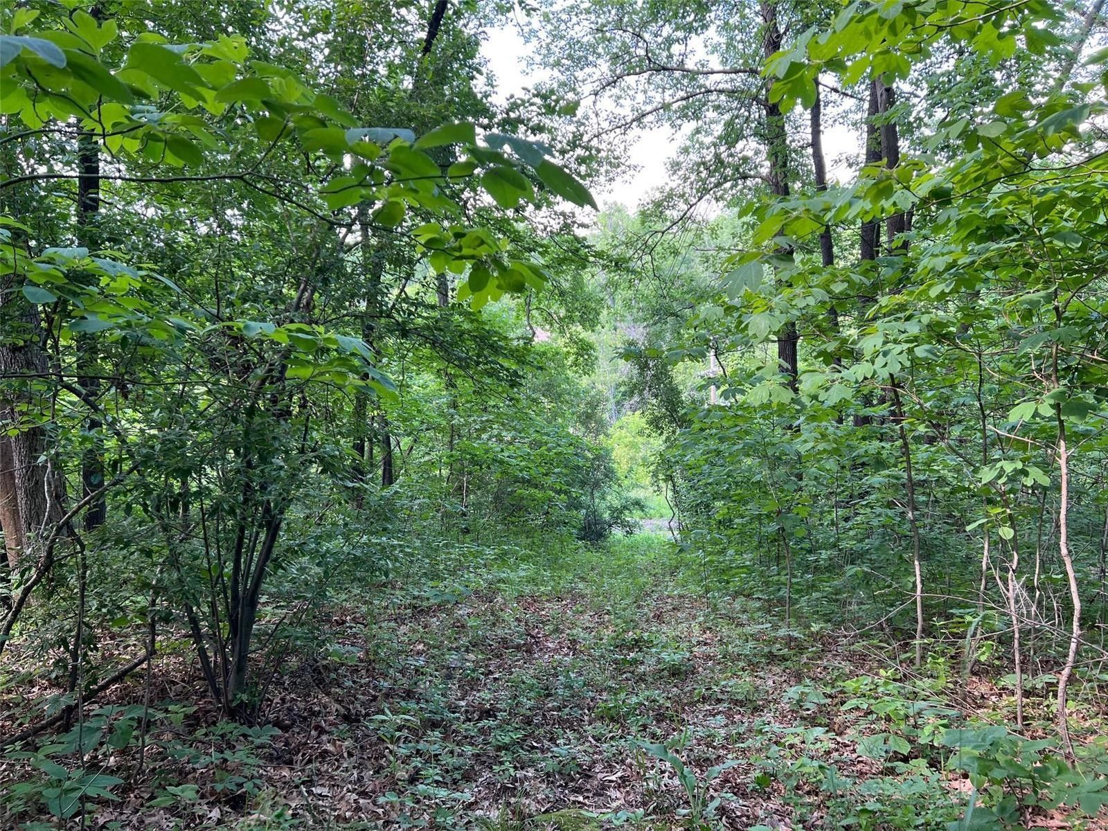 24.5 Acres, 0 Sec 298N3E, Saint Elmo, IL 62458 Land and Farm