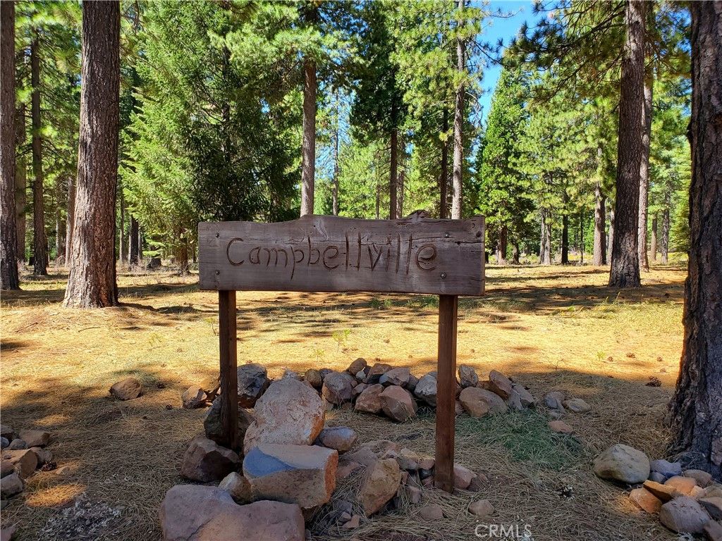 20 Acres, Cohasset Stage Rode, Chico, CA 95973 Land and Farm