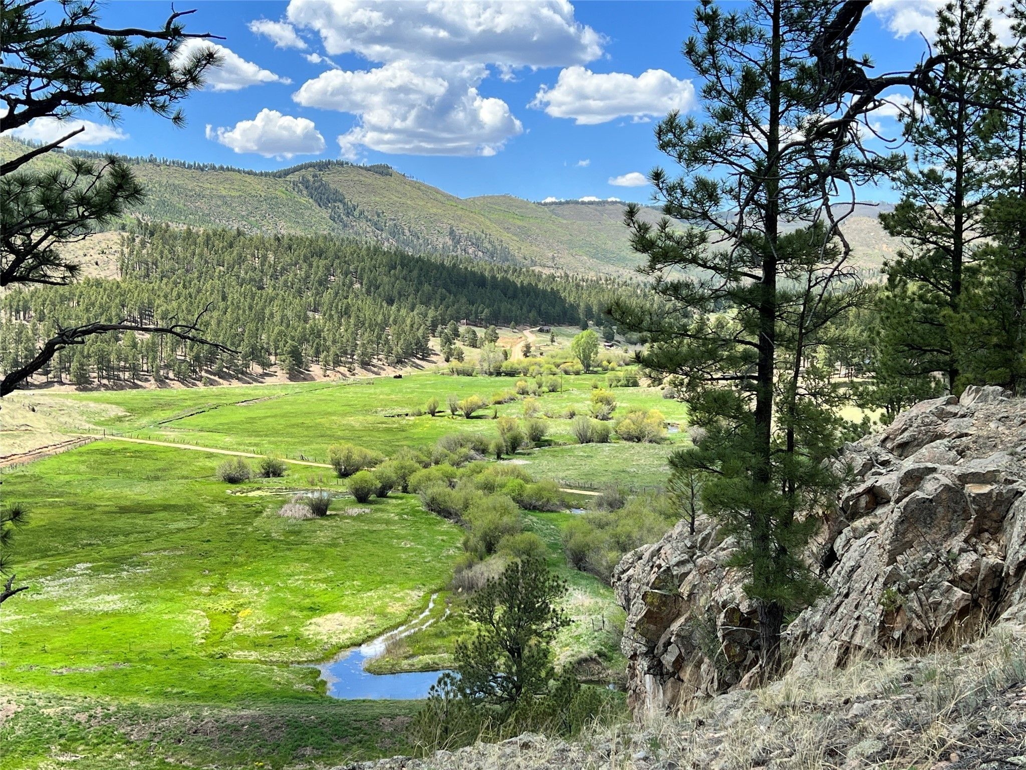 13.72 Acres, Vicinity Forest Road 86, Pecos, NM 87552 Land and Farm