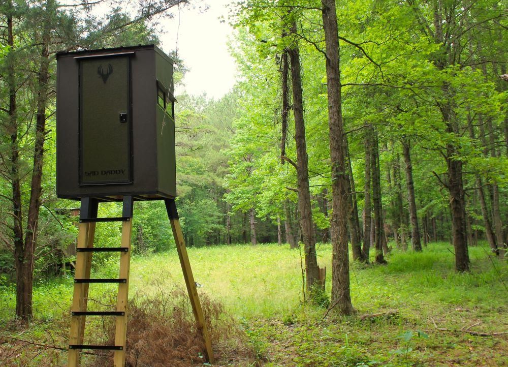 17 County Road 1559, Louin, MS 39338 Land and Farm