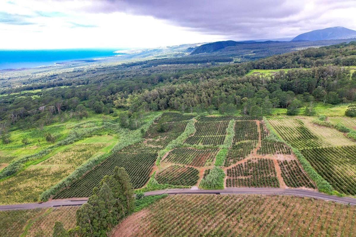 18.18 acres in Pahala, HI, 96777 MLS 661013 Land and Farm