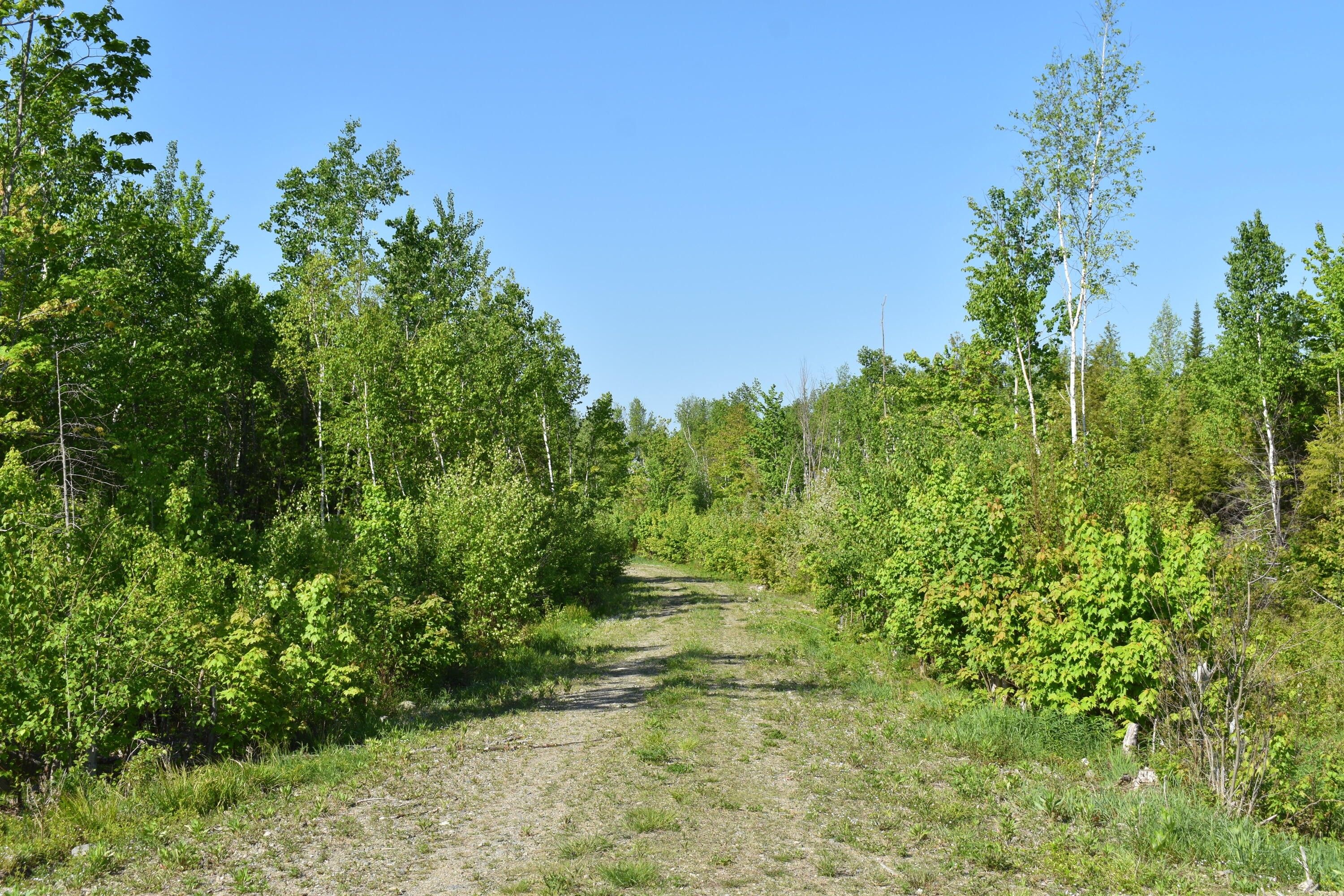 419 Acres, Off Goulds Ridge Road, Passadumkeag, ME 04475 Land and Farm