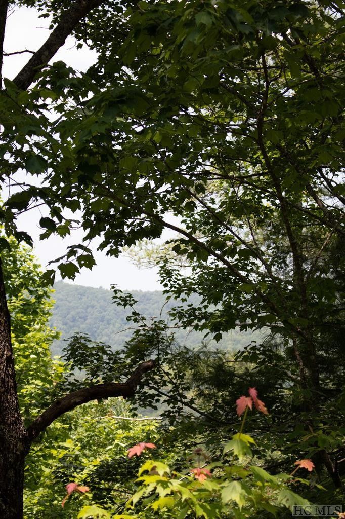 3.38 Acres, 60 & 61 Oak Laurel Road, Brevard, NC 28712 Land and Farm